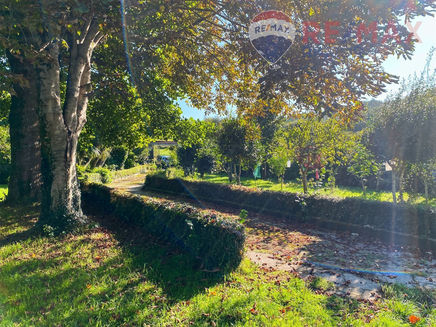 Pisos-Venta-Santiago de Compostela-2419127-Foto-3
