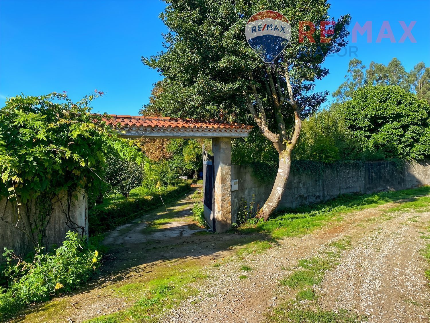 Pisos-Venta-Santiago de Compostela-2419127-Foto-2