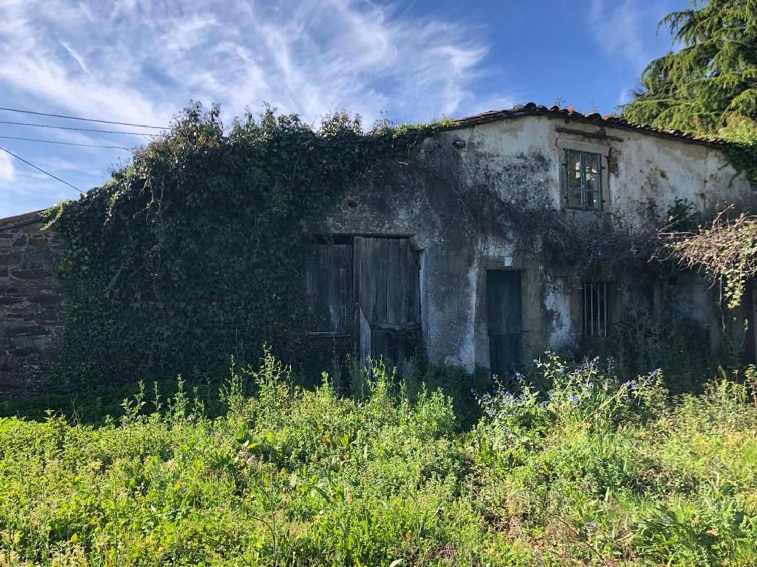 Fincas y solares-Venta-Santiago de Compostela-2419154-Foto-4