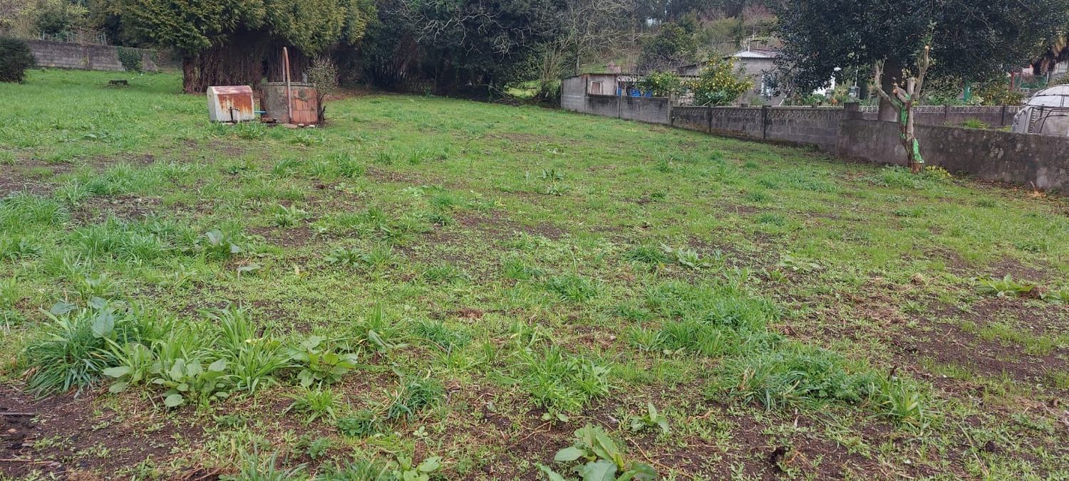 Casas o chalets-Venta-Ferrol-2419172-Foto-2