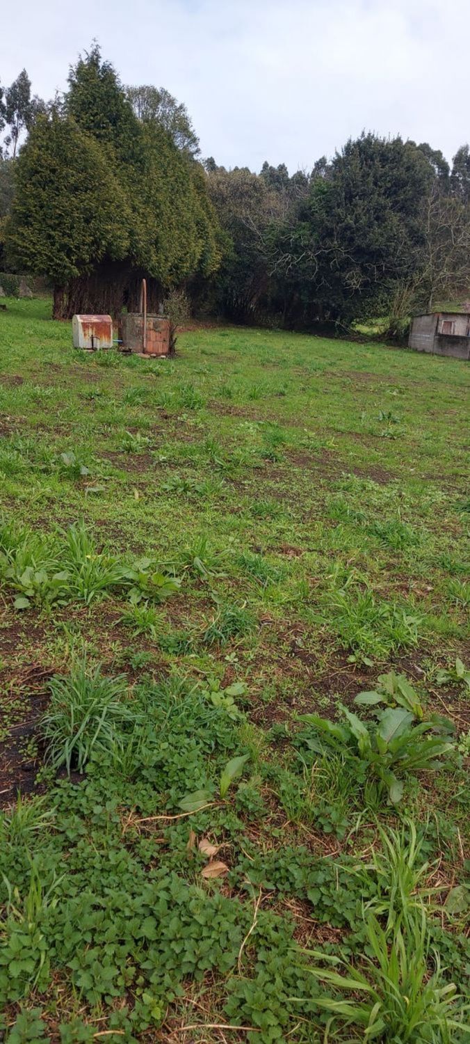Casas o chalets-Venta-Ferrol-2419172-Foto-28