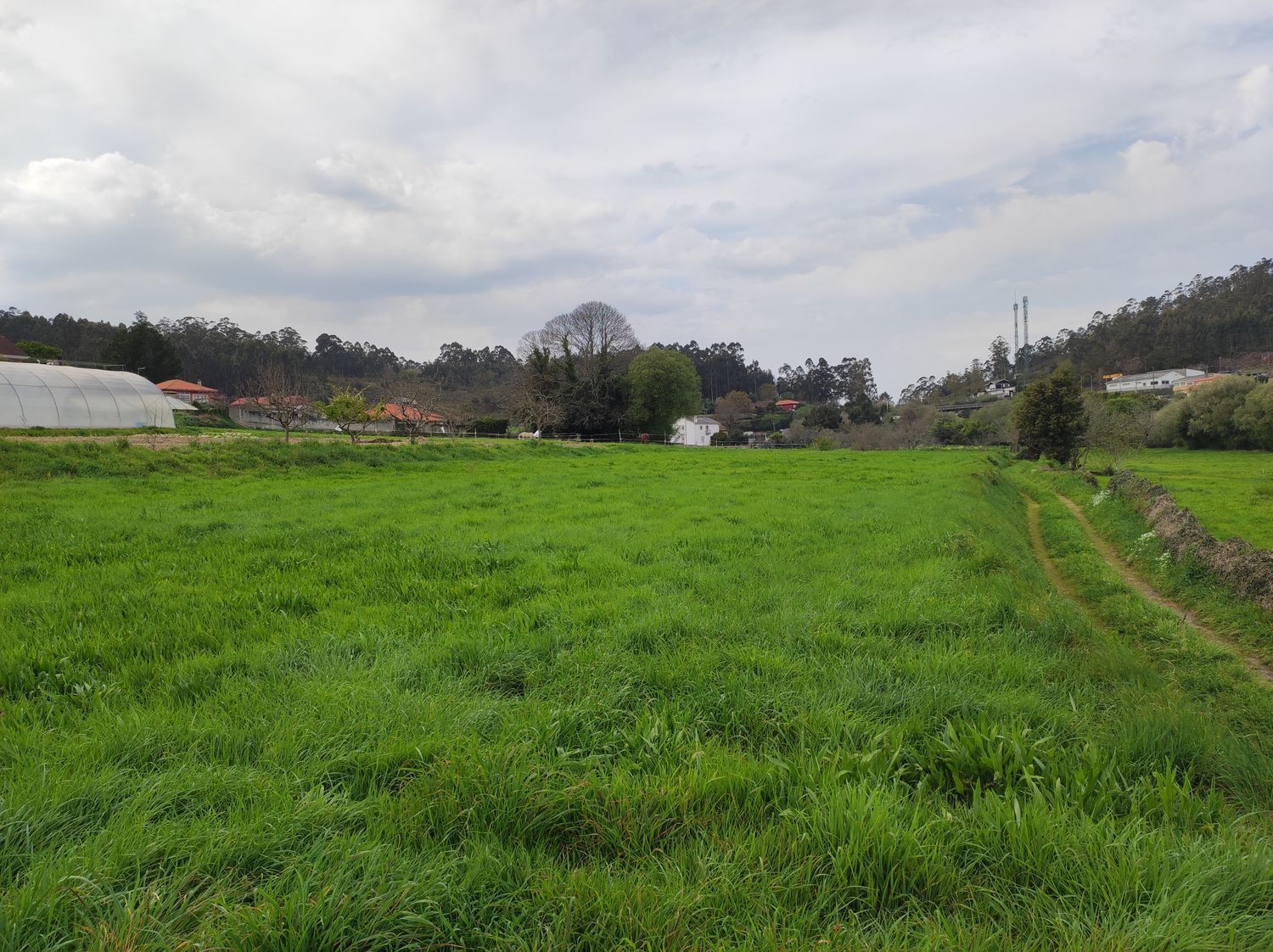 Fincas y solares-Venta-Culleredo-2419178-Foto-2