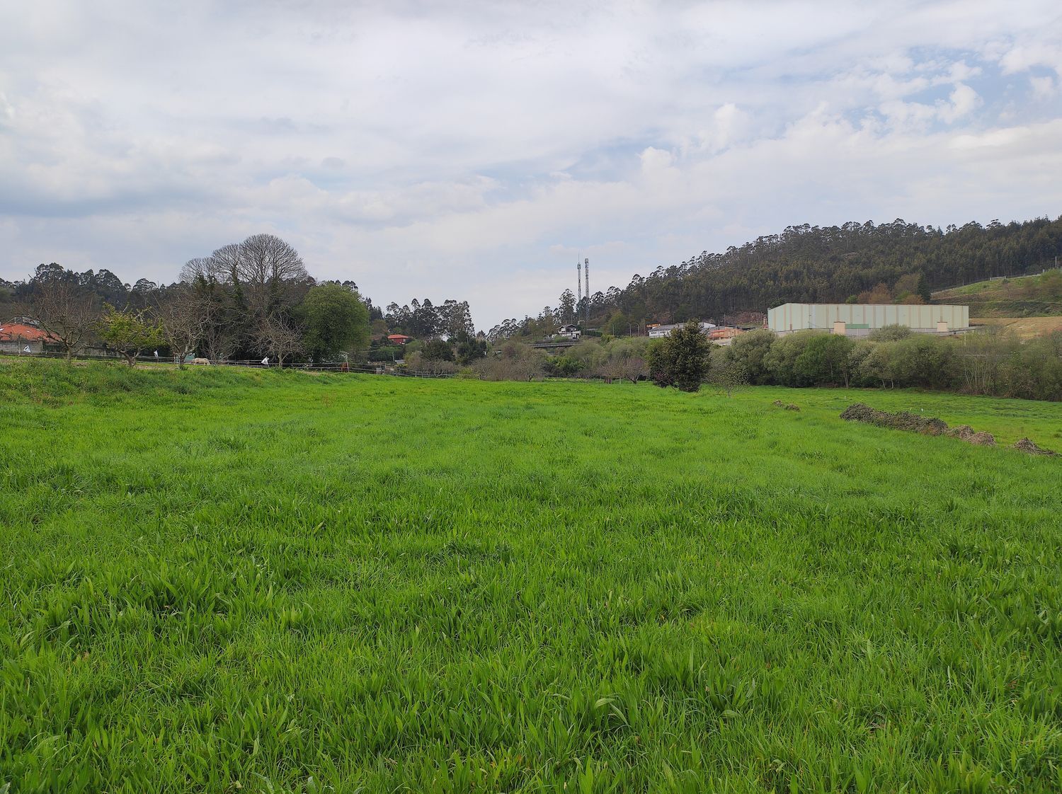 Fincas y solares-Venta-Culleredo-2419178-Foto-3