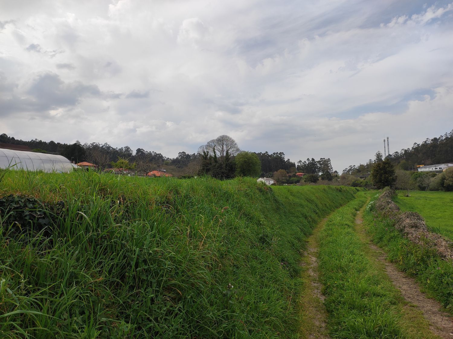 Fincas y solares-Venta-Culleredo-2419178-Foto-10
