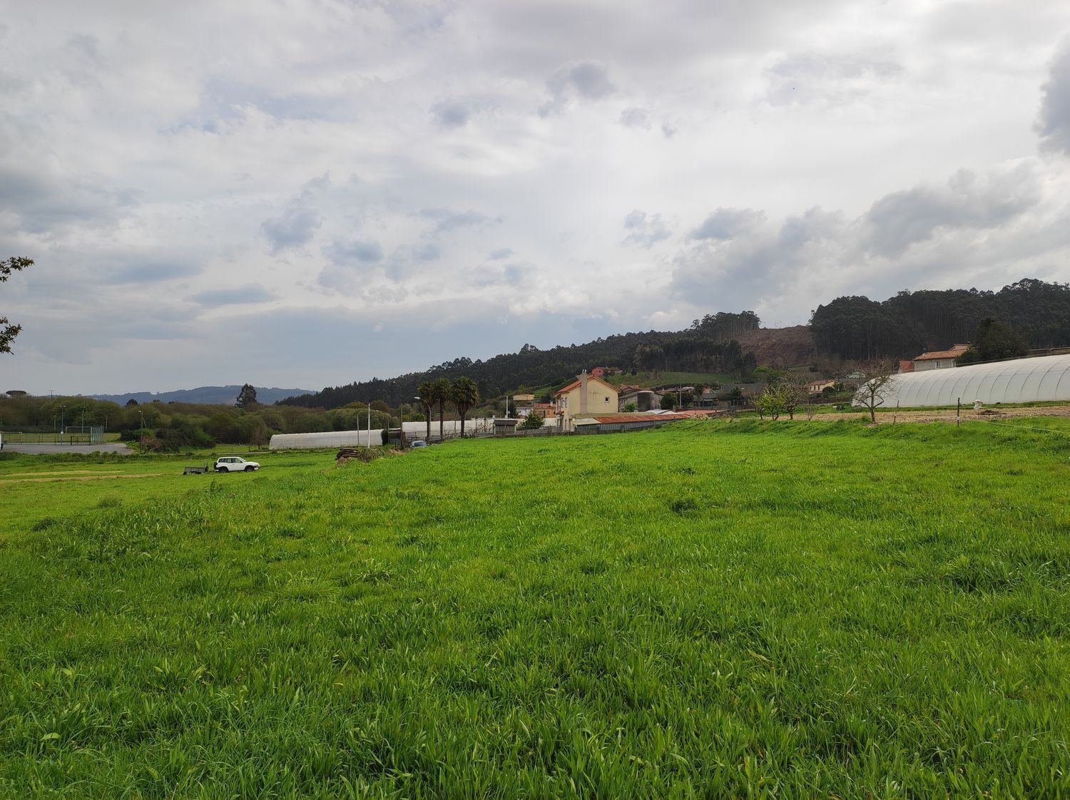 Fincas y solares-Venta-Culleredo-2419178-Foto-8
