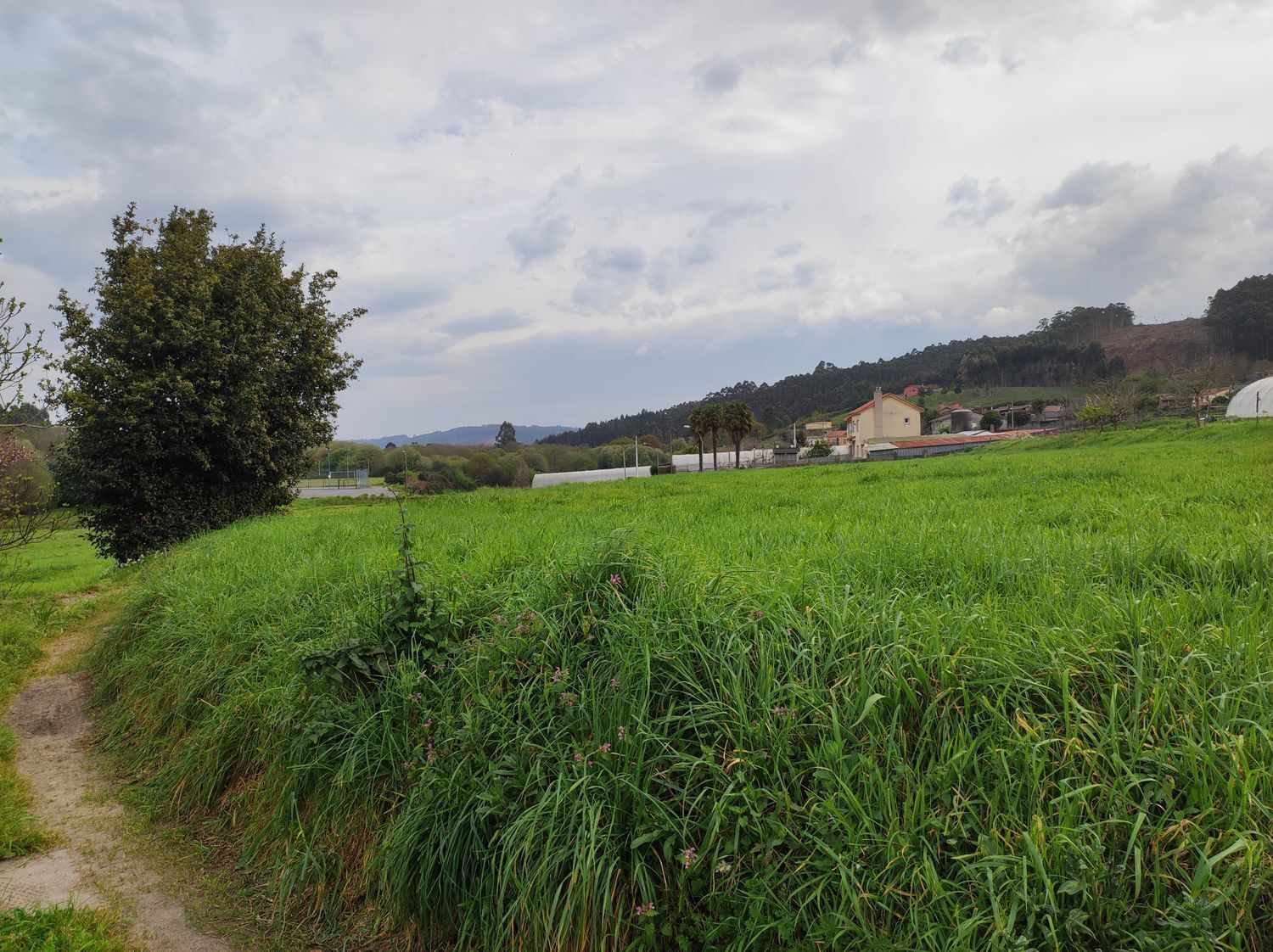 Fincas y solares-Venta-Culleredo-2419178-Foto-9