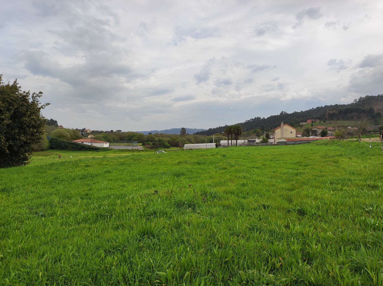 Fincas y solares-Venta-Culleredo-2419178-Foto-7