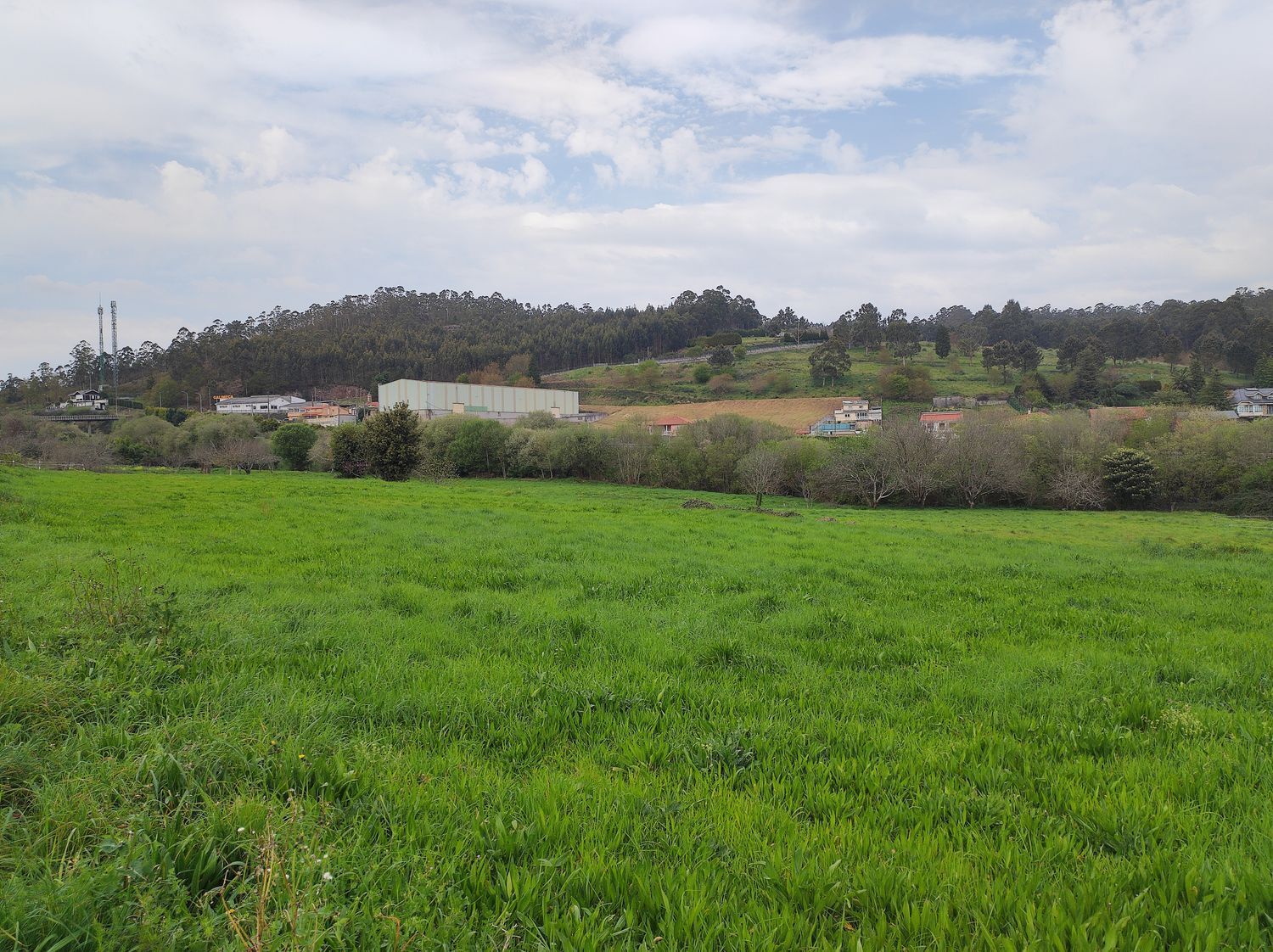 Fincas y solares-Venta-Culleredo-2419178-Foto-4