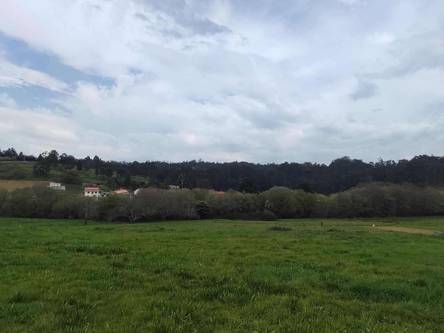 Fincas y solares-Venta-Culleredo-2419178-Foto-6