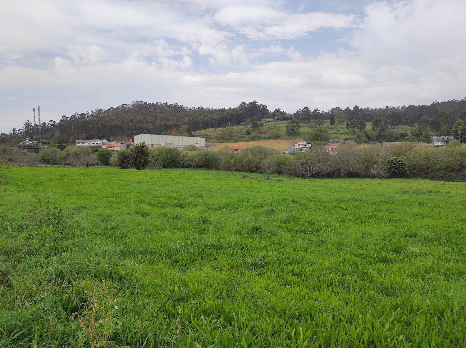 Fincas y solares-Venta-Culleredo-2419178-Foto-5