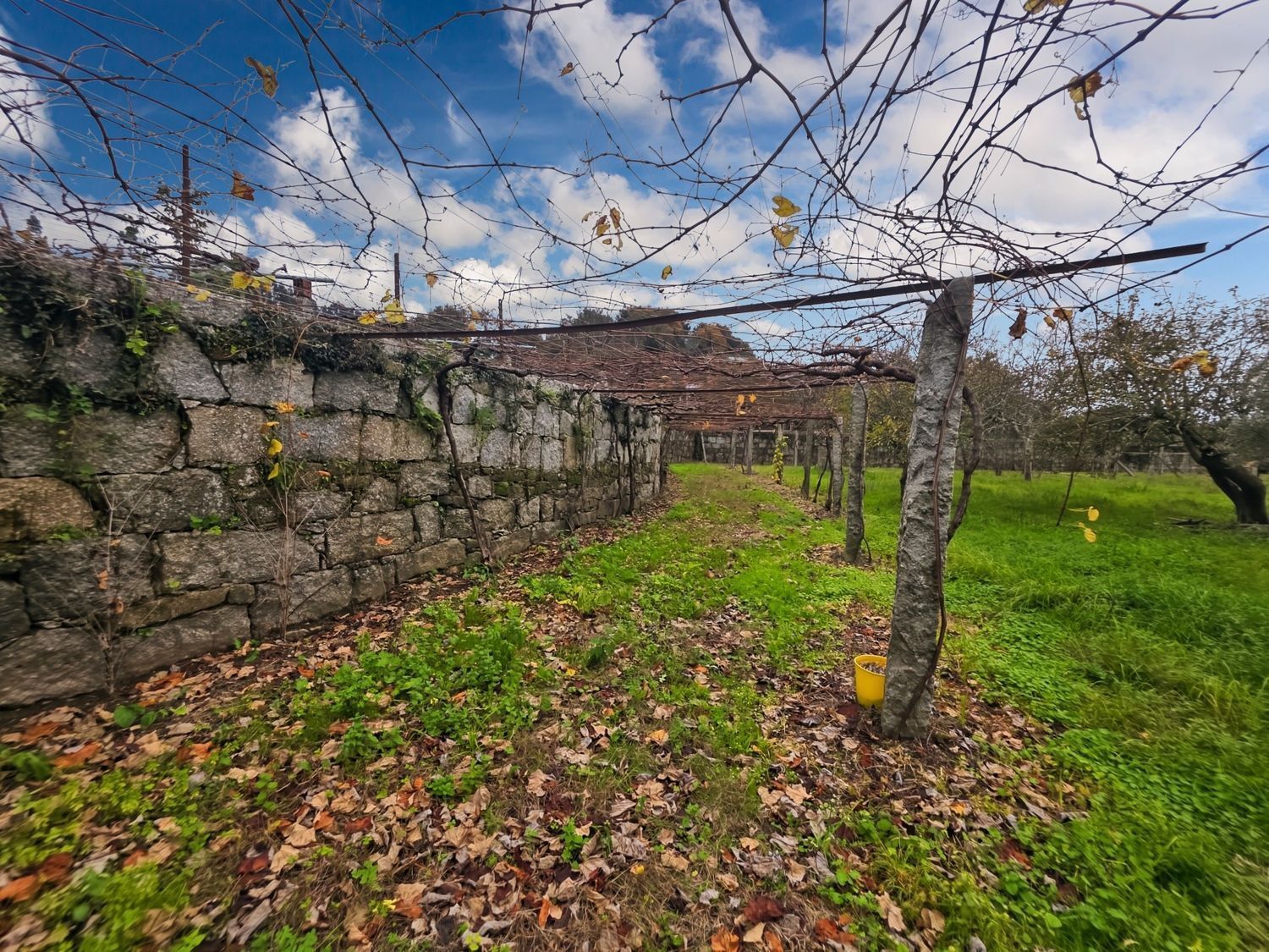Casas o chalets-Venta-Caldas de Reis-2419190-Foto-24
