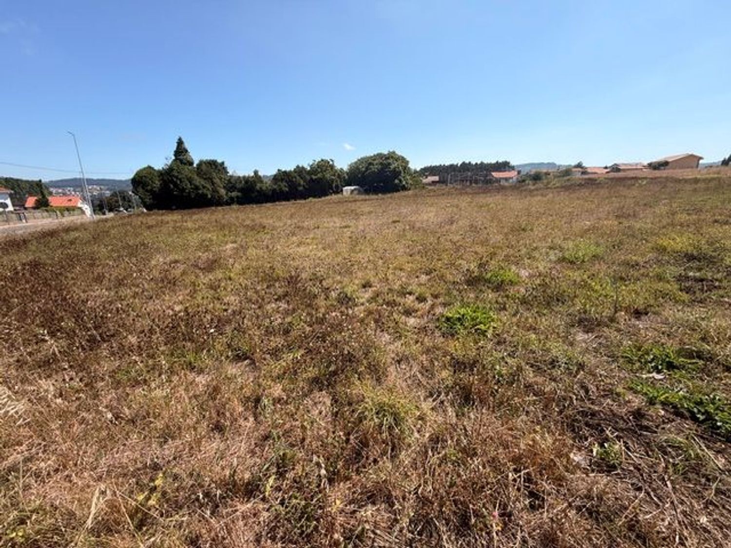 Fincas y solares-Venta-ValdoviÃ±o-2419193-Foto-6