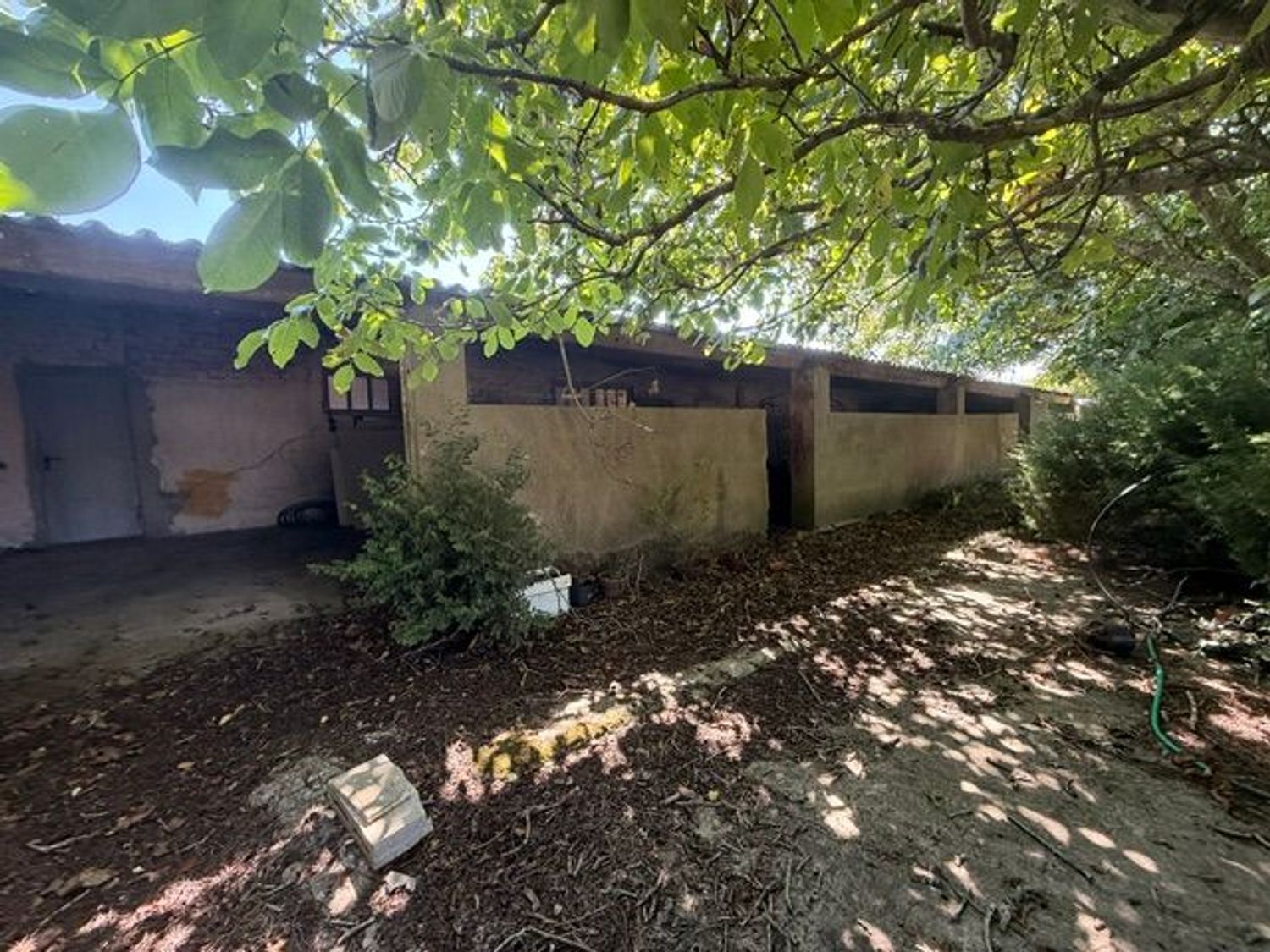 Fincas y solares-Venta-ValdoviÃ±o-2419193-Foto-7