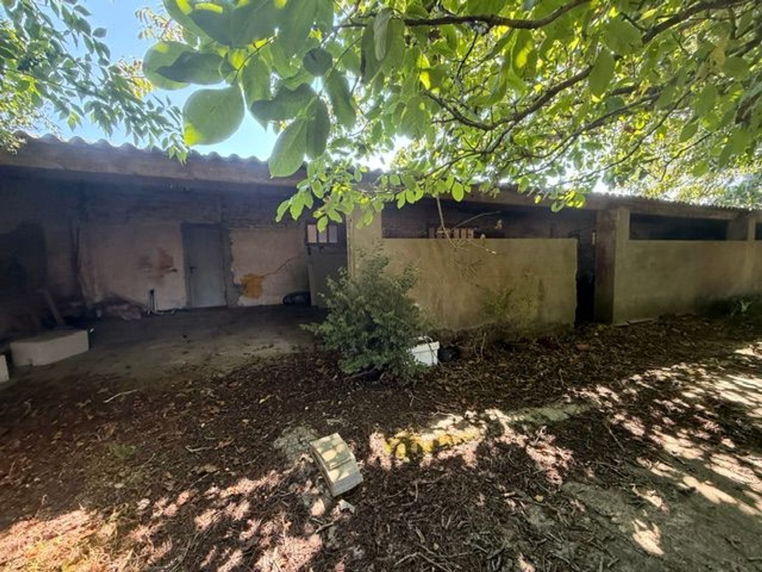 Fincas y solares-Venta-ValdoviÃ±o-2419193-Foto-8