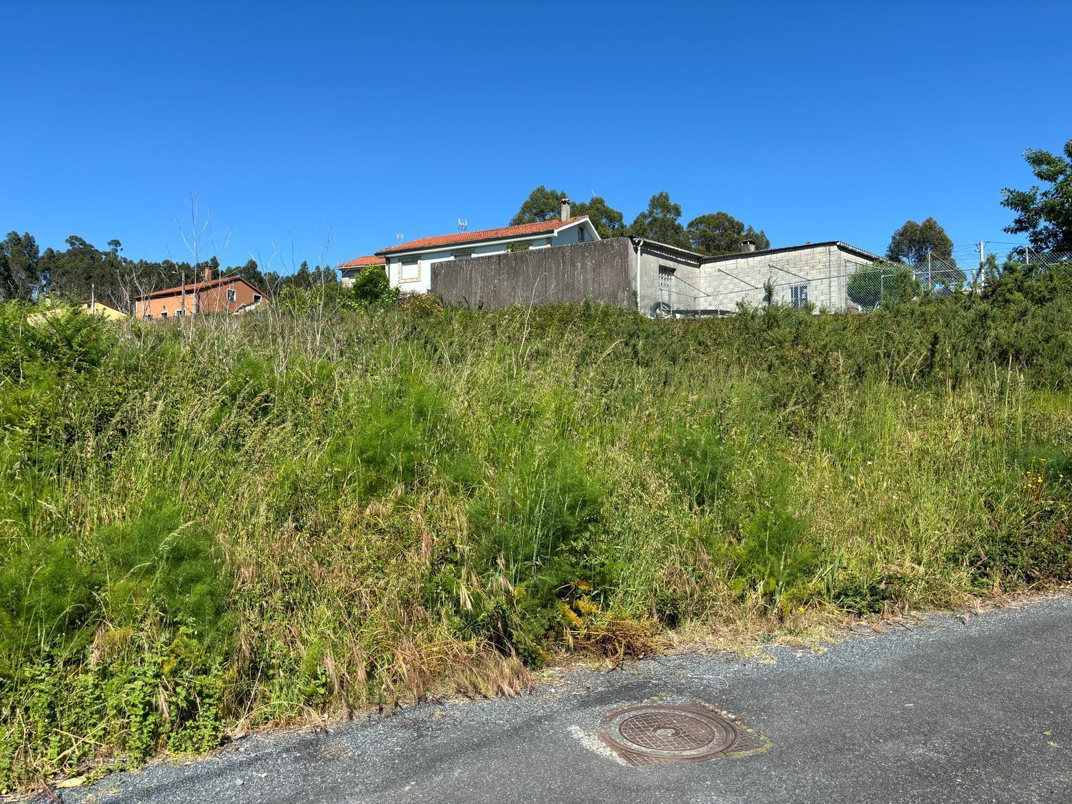 Fincas y solares-Venta-Santiago de Compostela-2419241-Foto-2
