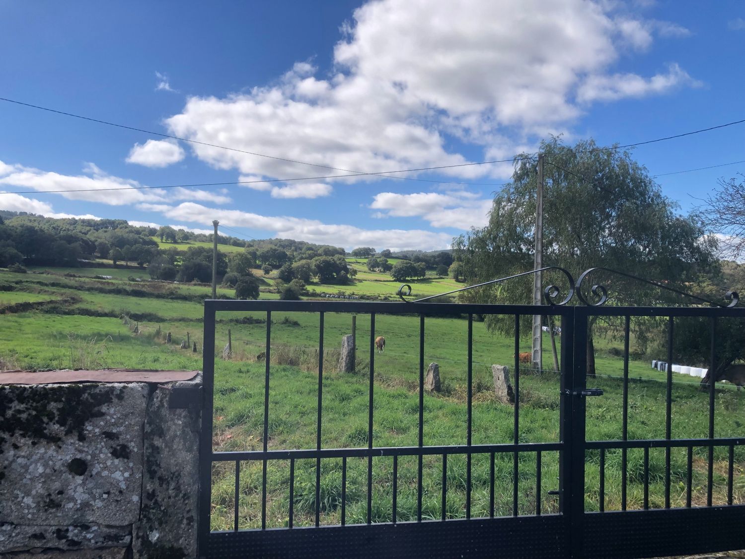 Casas o chalets-Venta-Rodeiro-2419244-Foto-16