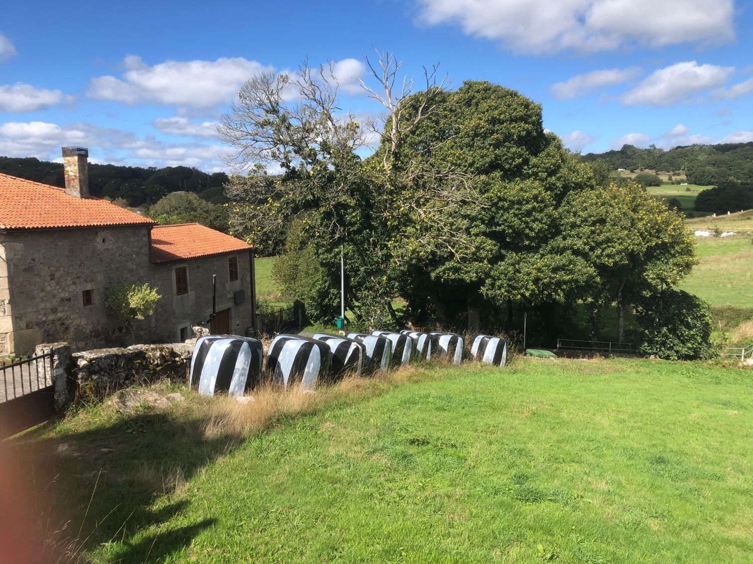 Casas o chalets-Venta-Rodeiro-2419244-Foto-29