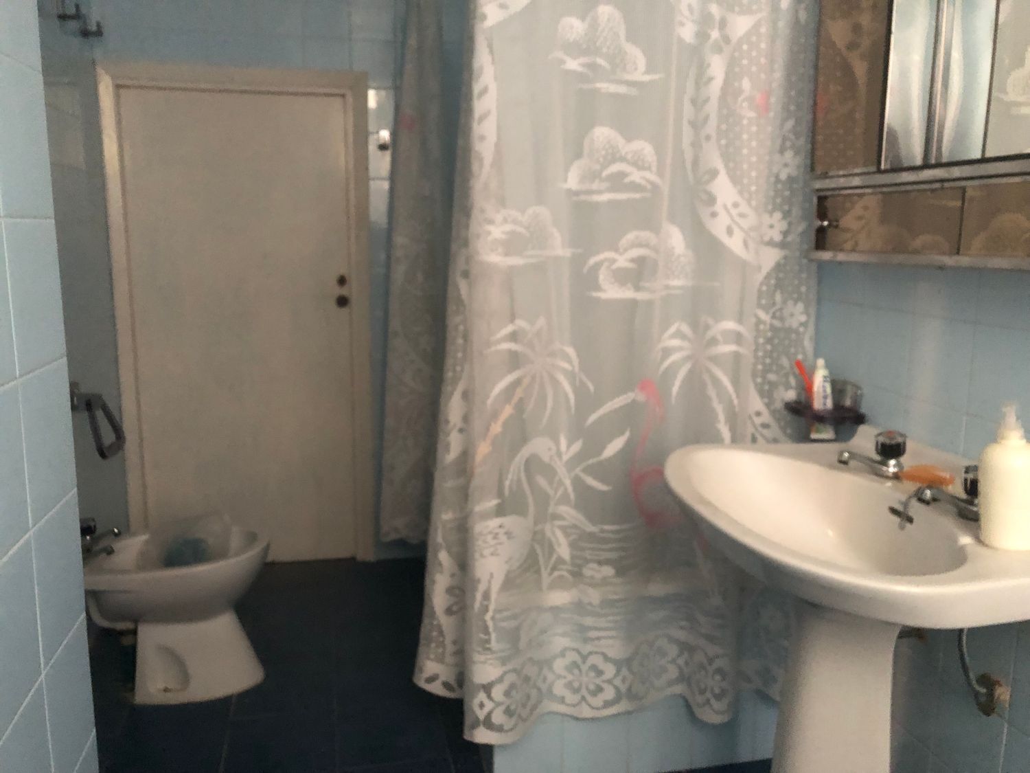 Casas o chalets-Venta-Rodeiro-2419244-Foto-34