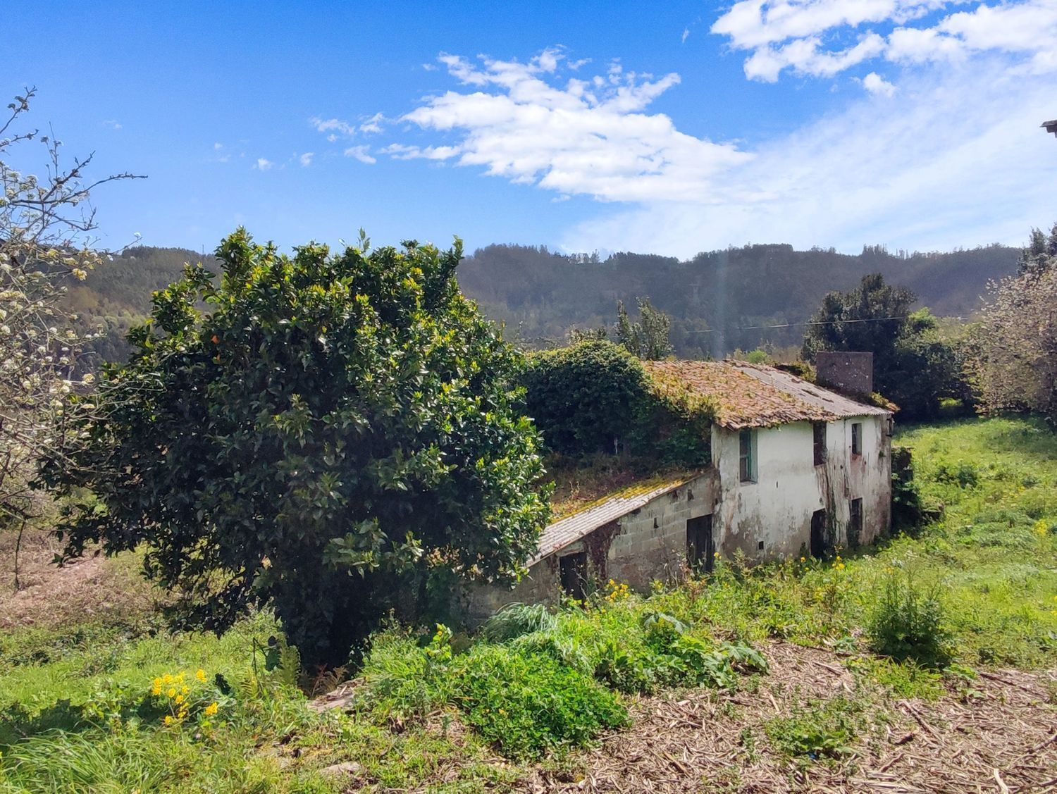 Casas o chalets-Venta-Carral-2419259-Foto-4