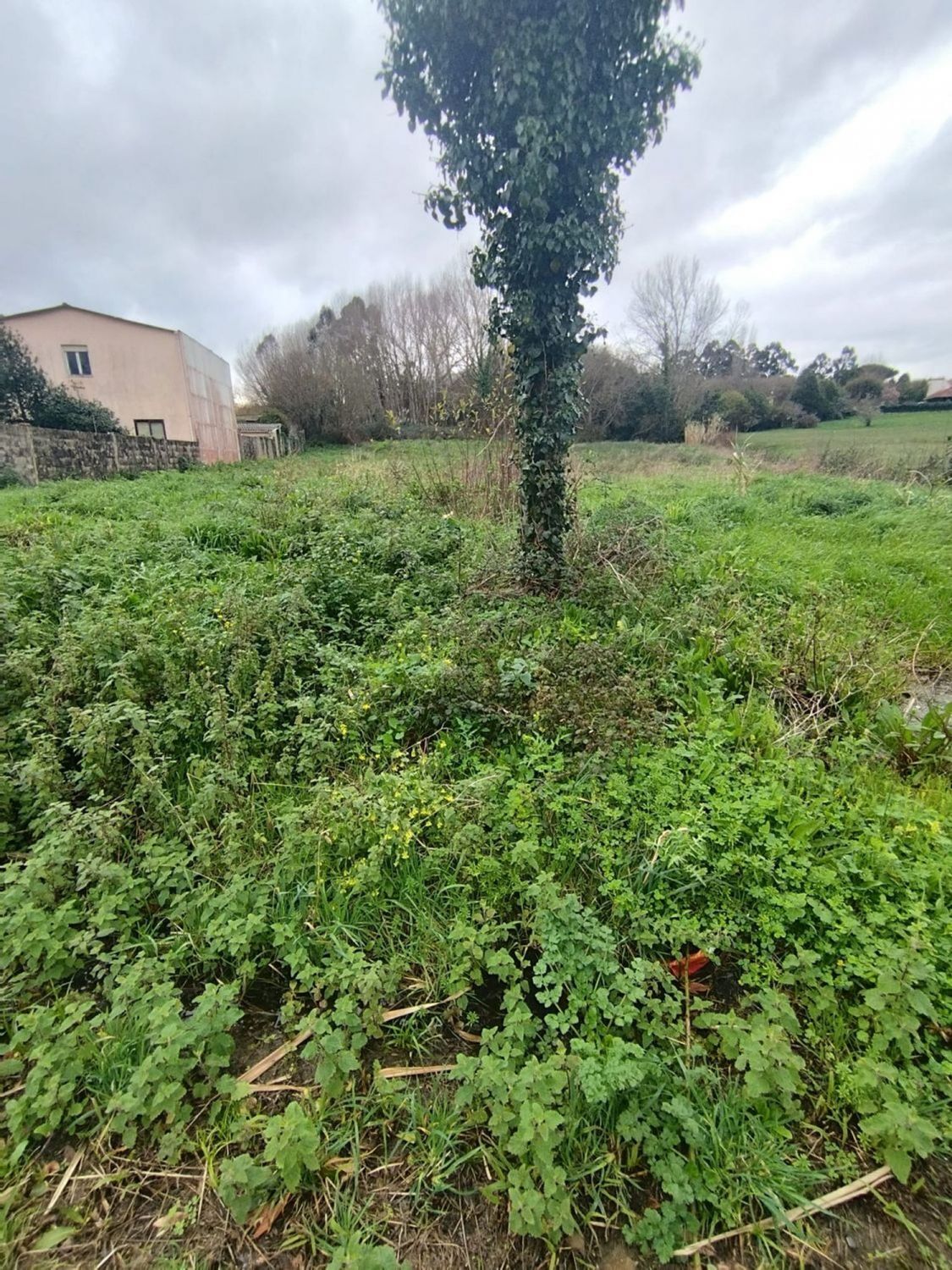 Fincas y solares-Venta-2419262