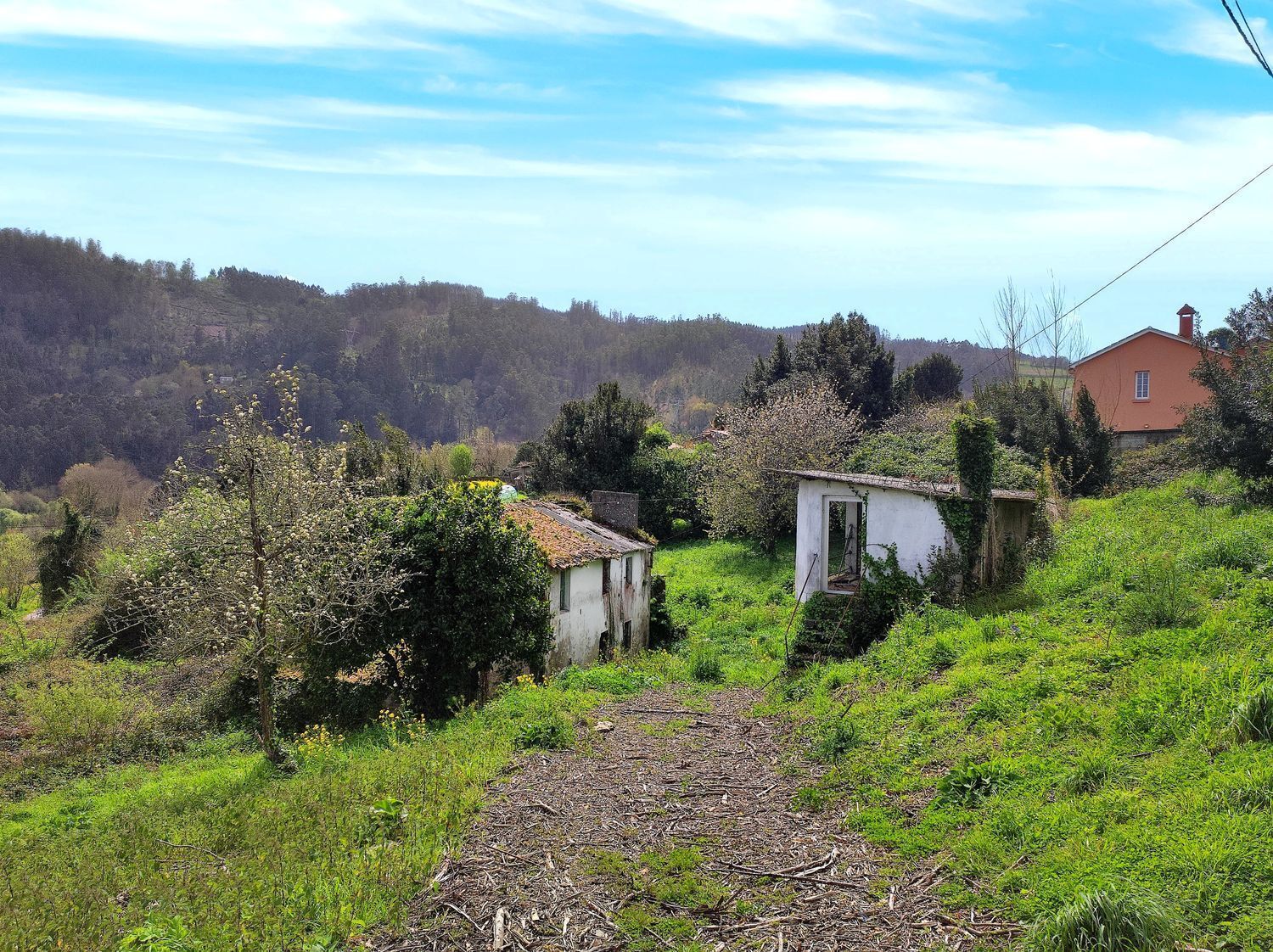 Casas o chalets-Venta-Carral-2419259-Foto-8