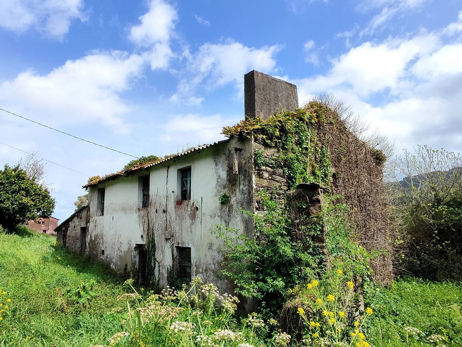 Casas o chalets-Venta-2419259