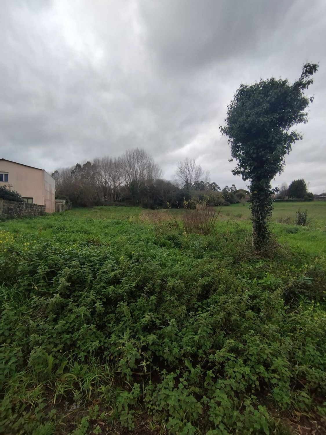 Fincas y solares-Venta-El Hoyo de Pinares-2419262-Foto-6