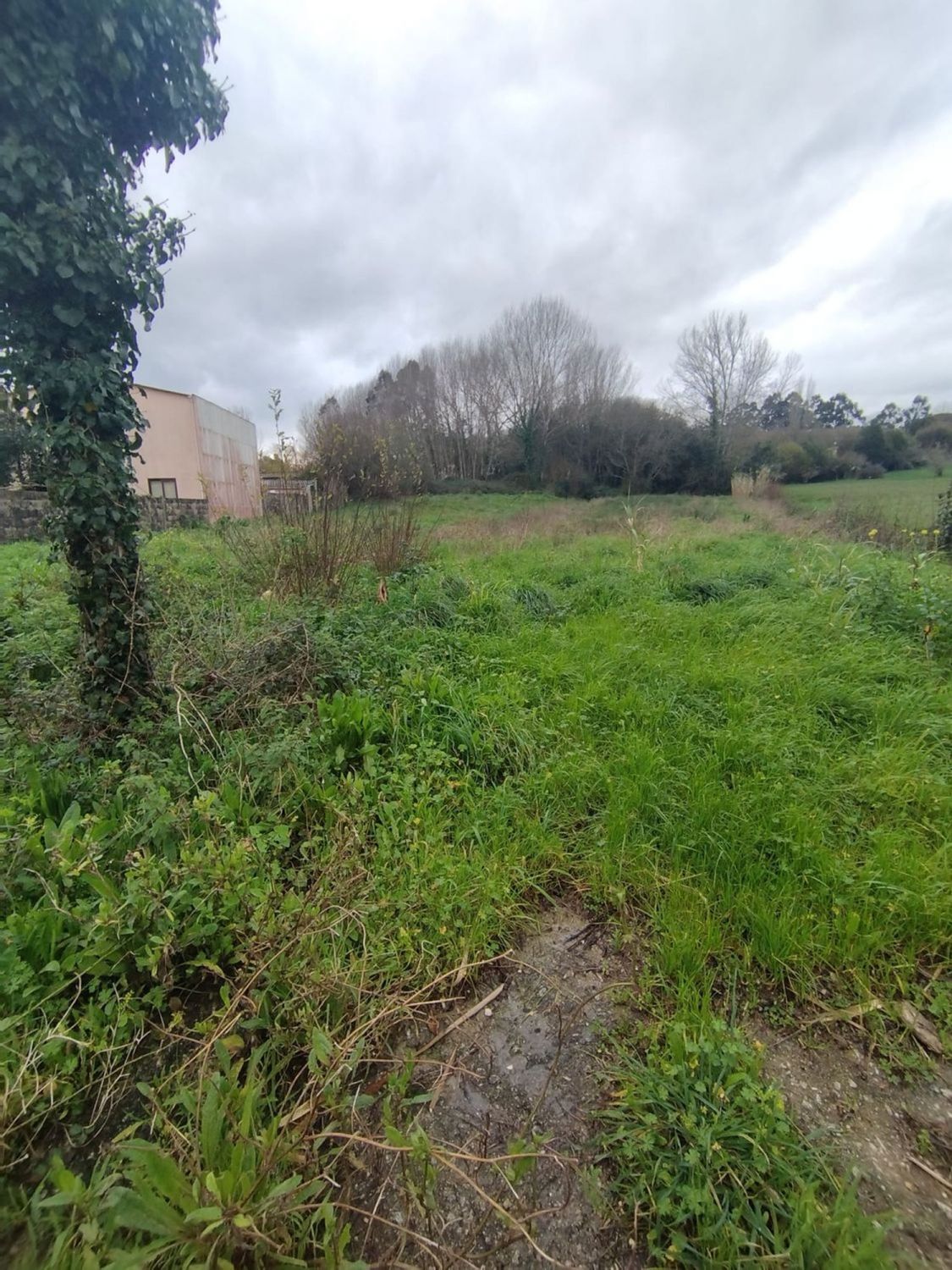 Fincas y solares-Venta-El Hoyo de Pinares-2419262-Foto-7