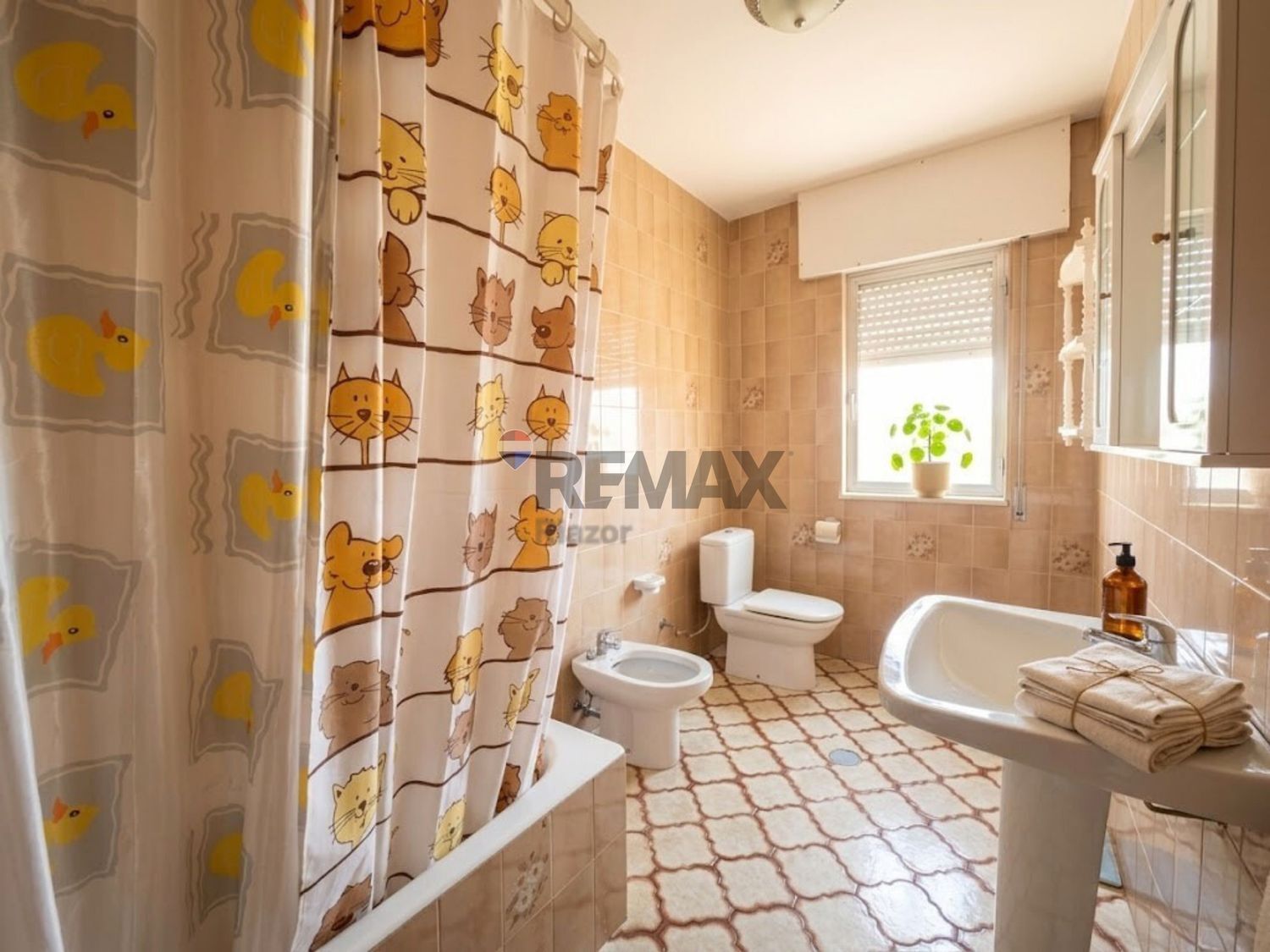 Casas o chalets-Venta-ArzÃºa-2419277-Foto-4