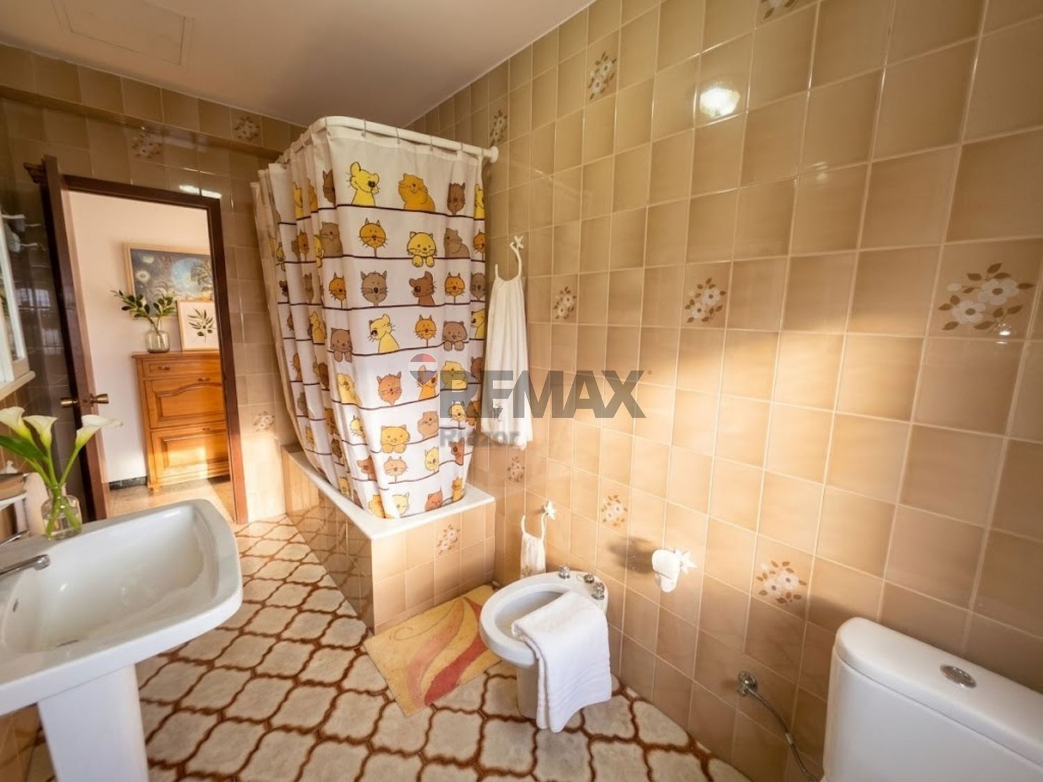 Casas o chalets-Venta-ArzÃºa-2419277-Foto-28