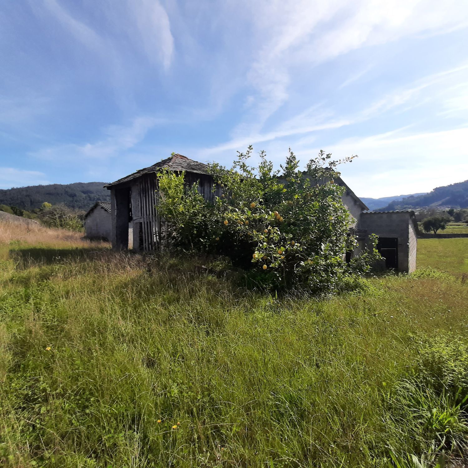 Pisos-Venta-Viveiro-2419283-Foto-24