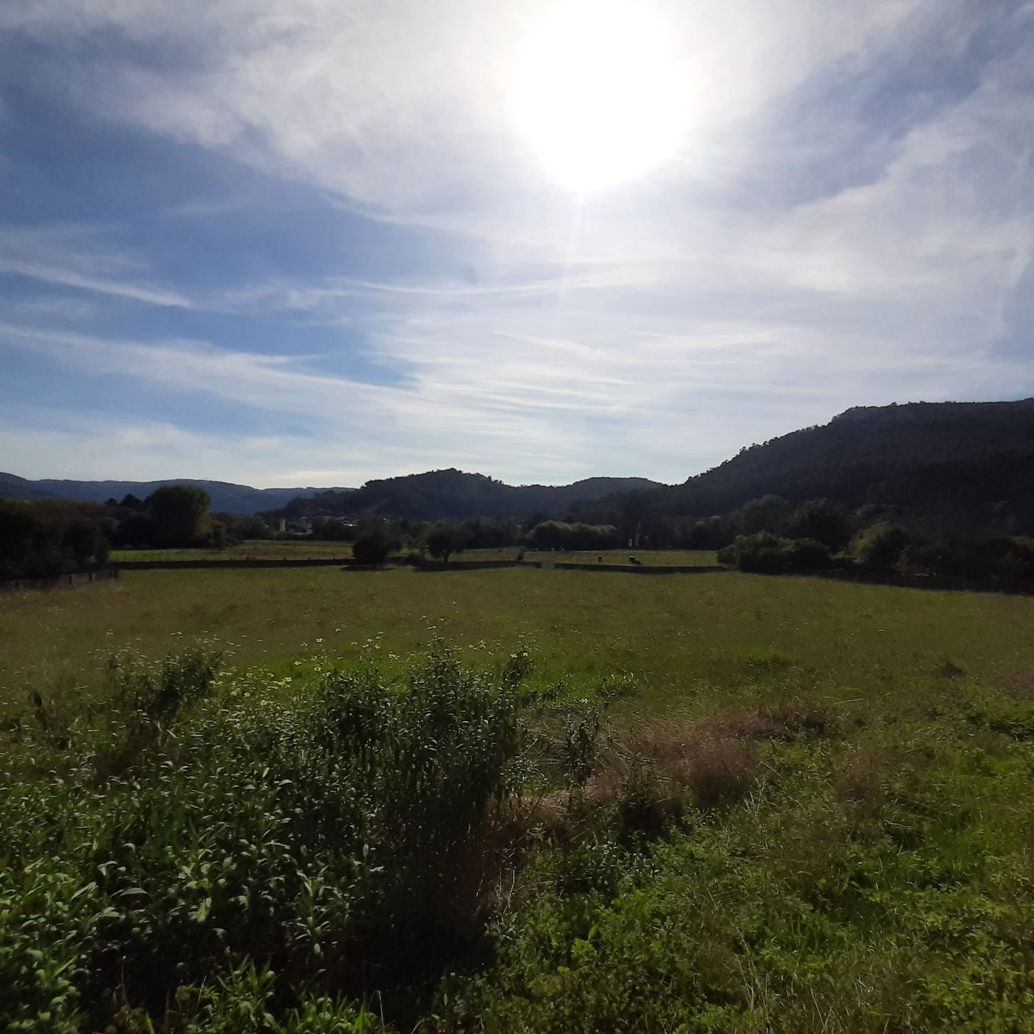 Pisos-Venta-Viveiro-2419283-Foto-28