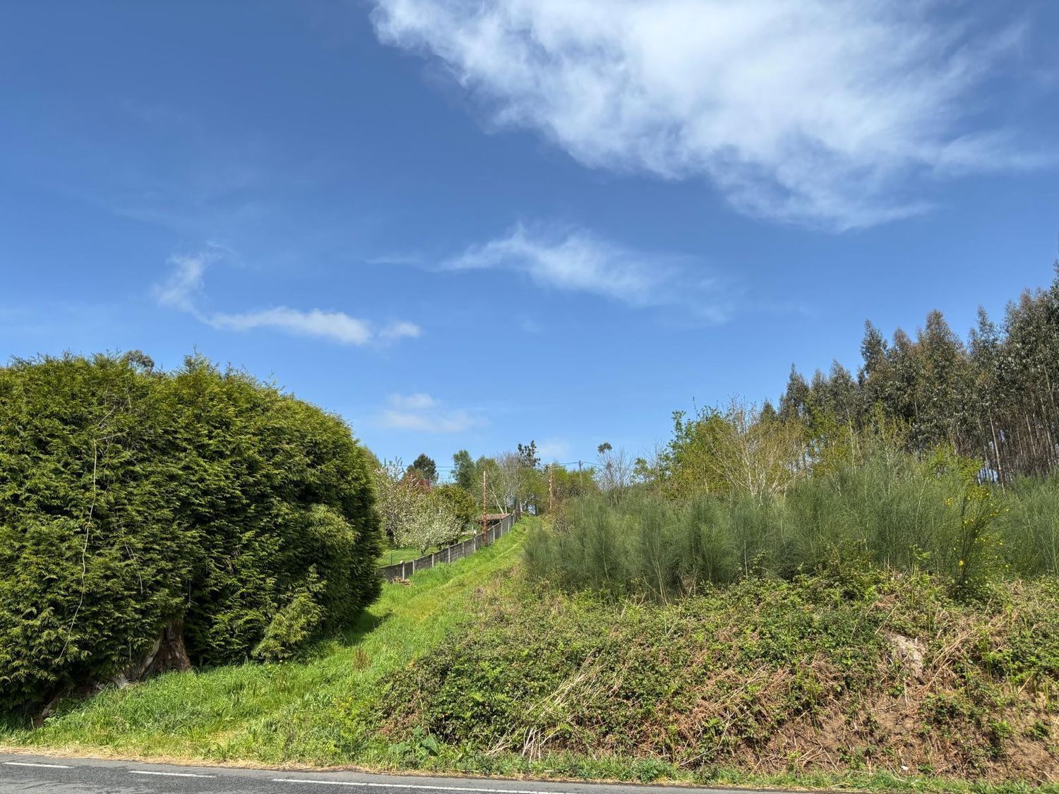 Fincas y solares-Venta-Cerceda-2419295-Foto-4