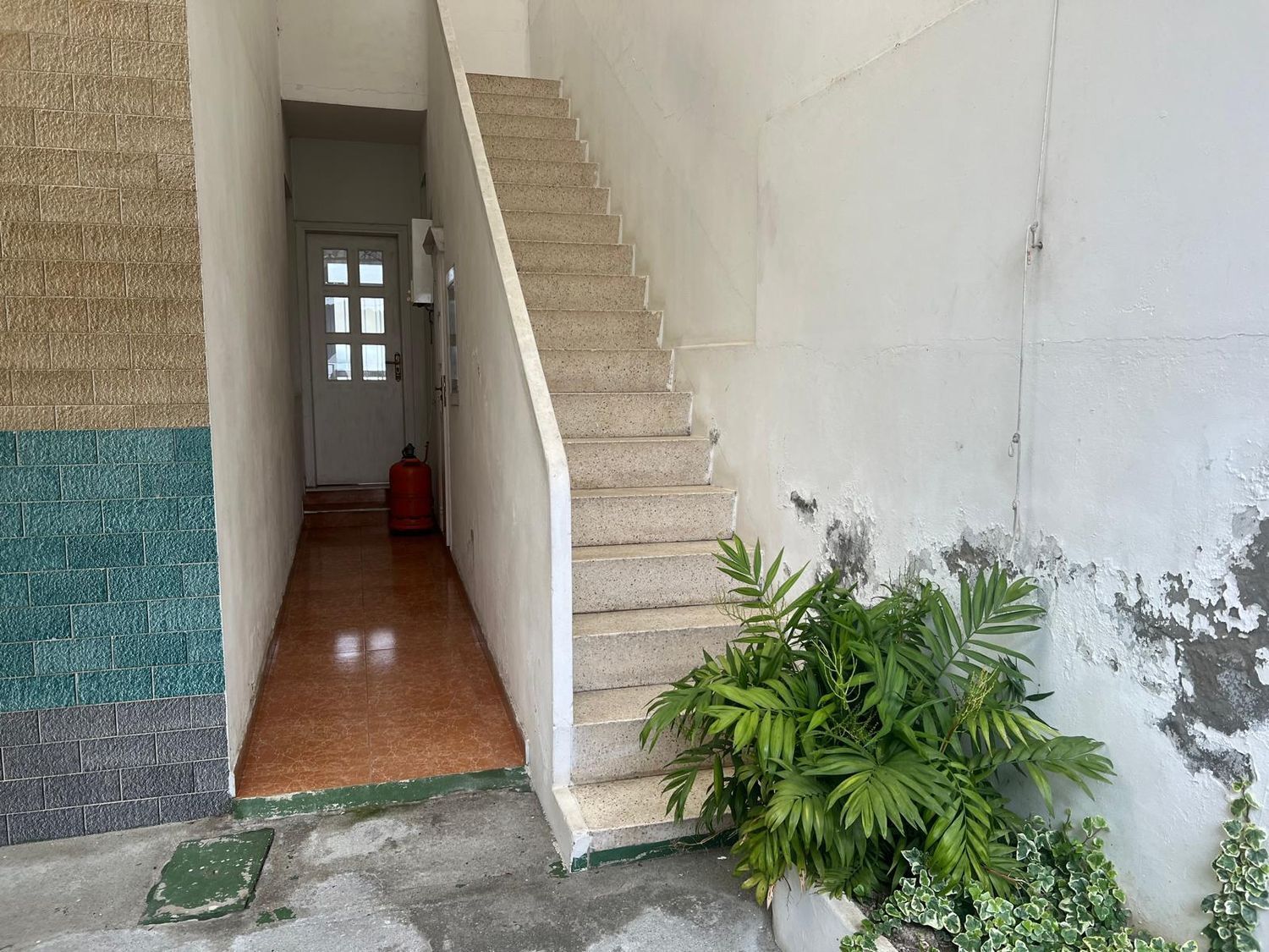 Casas o chalets-Venta-NarÃ³n-2419301-Foto-18