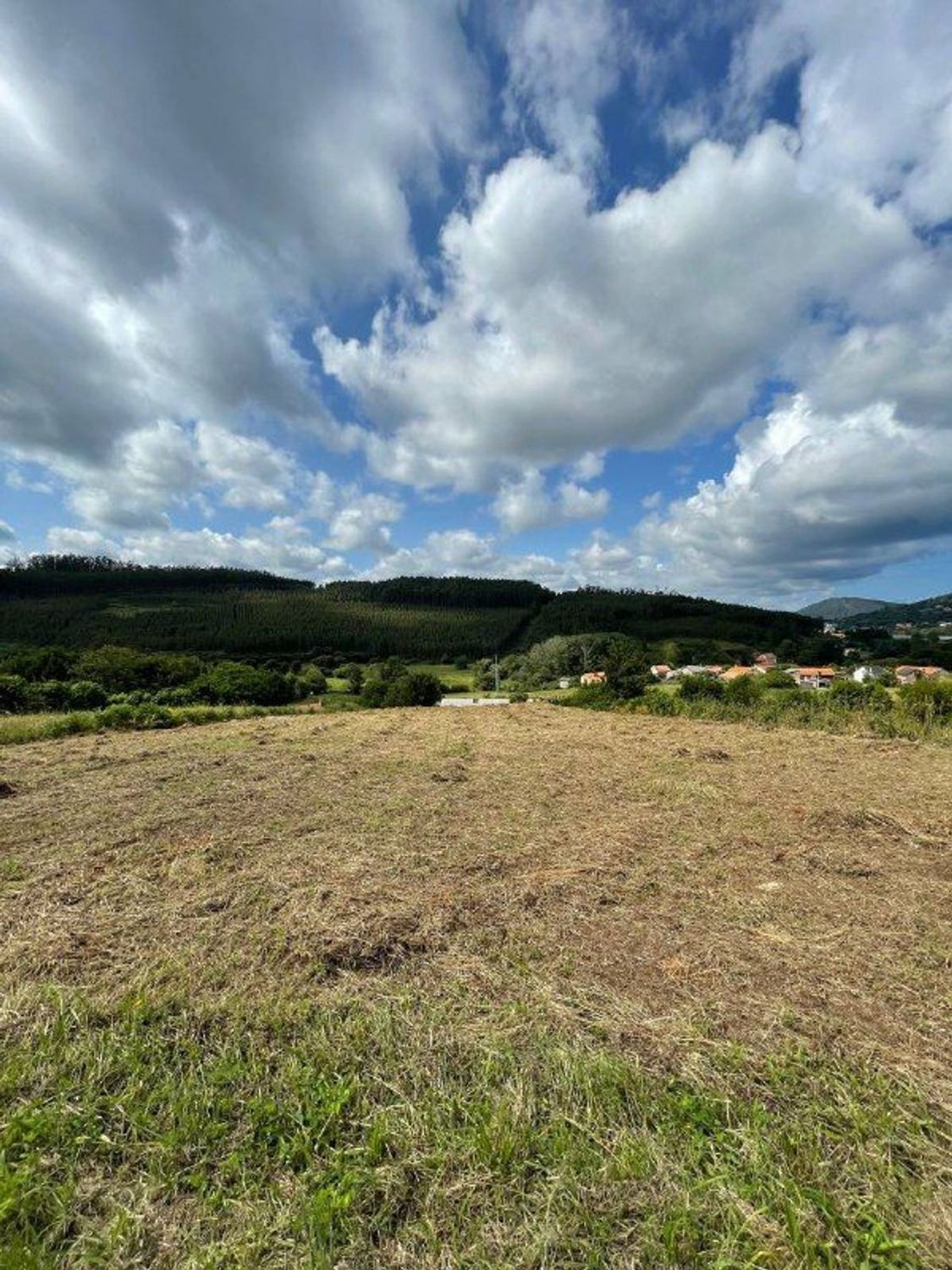 Fincas y solares-Venta-Cedeira-2419322