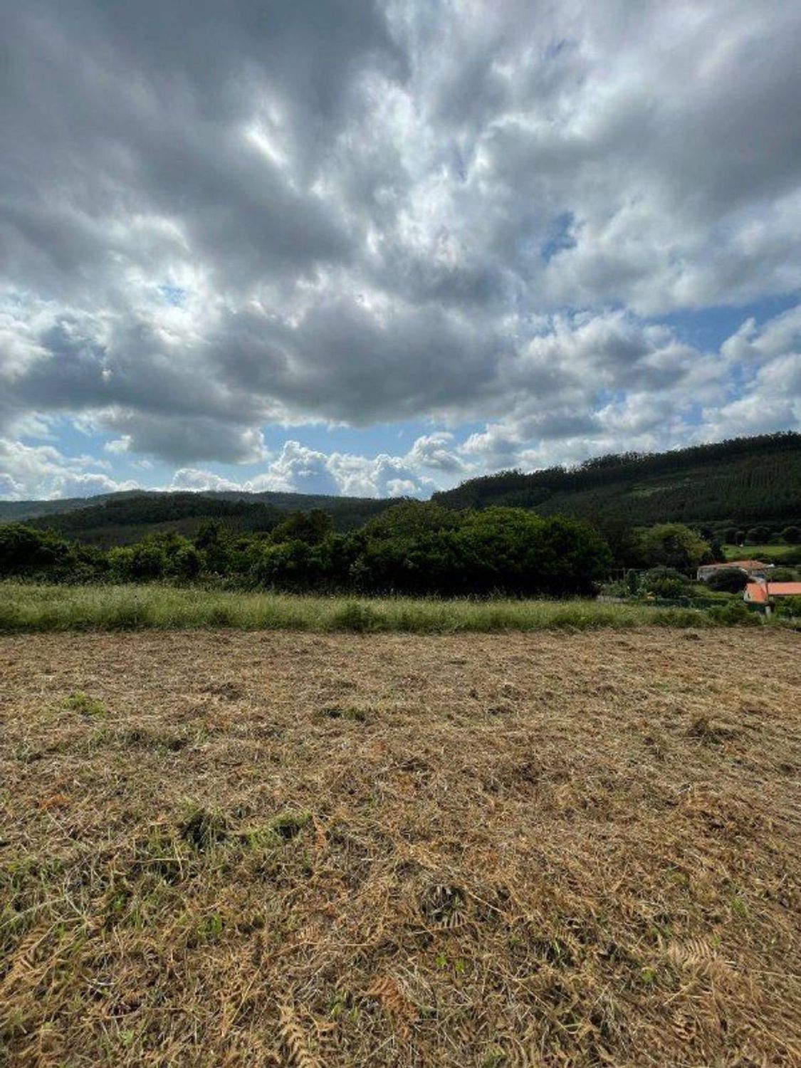 Fincas y solares-Venta-Cedeira-2419322-Foto-4
