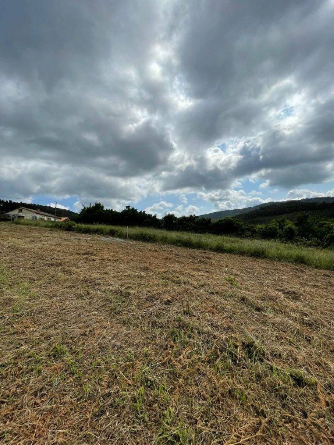 Fincas y solares-Venta-Cedeira-2419322-Foto-5