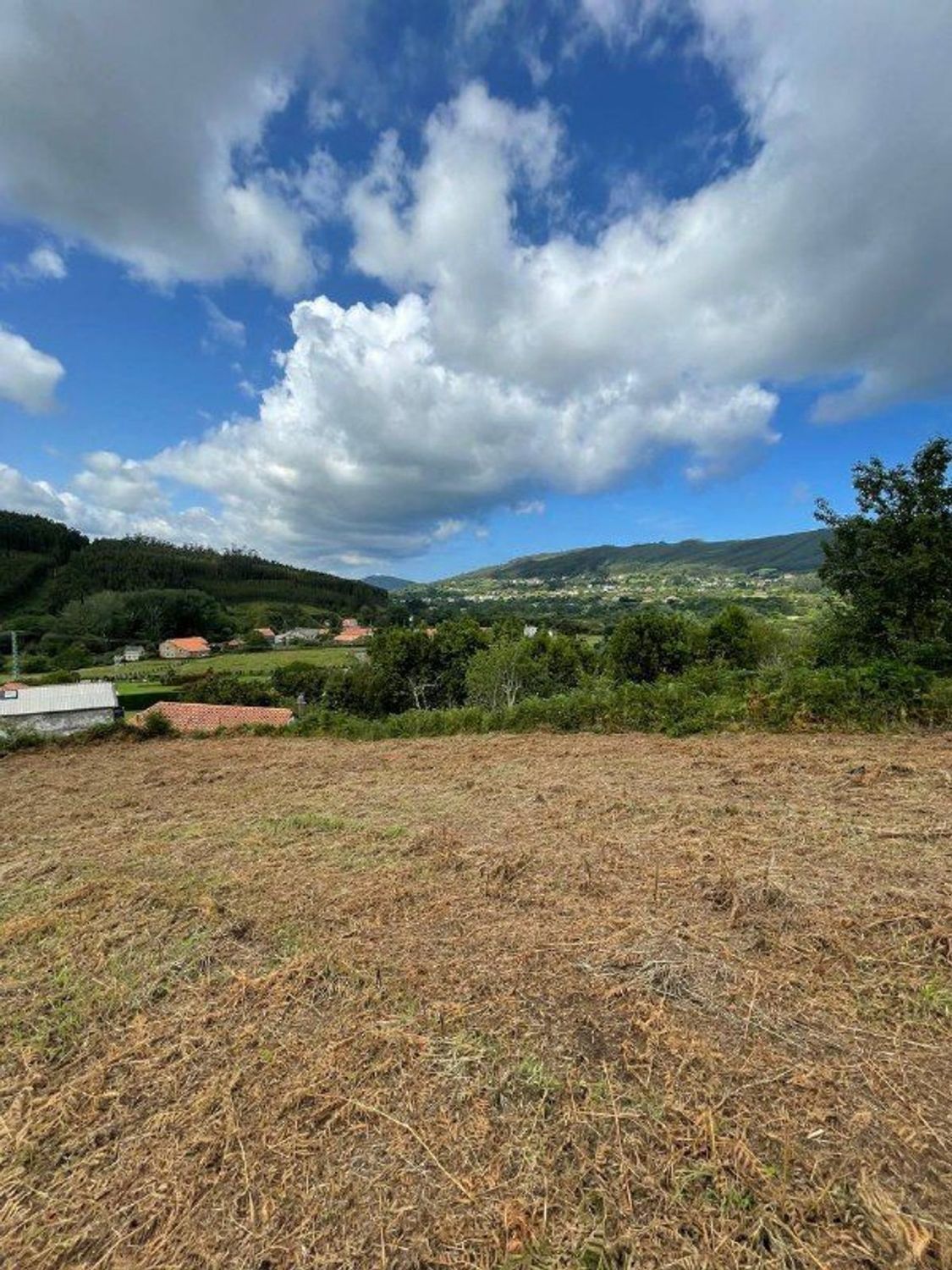 Fincas y solares-Venta-Cedeira-2419322-Foto-7