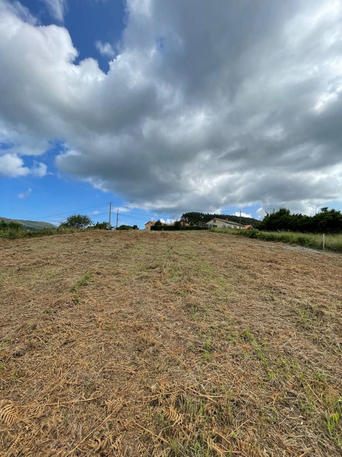 Fincas y solares-Venta-Cedeira-2419322-Foto-9