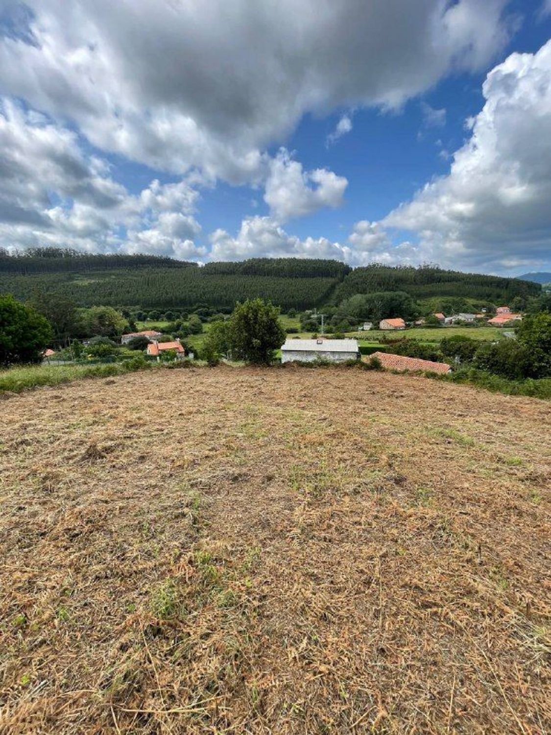 Fincas y solares-Venta-Cedeira-2419322-Foto-8