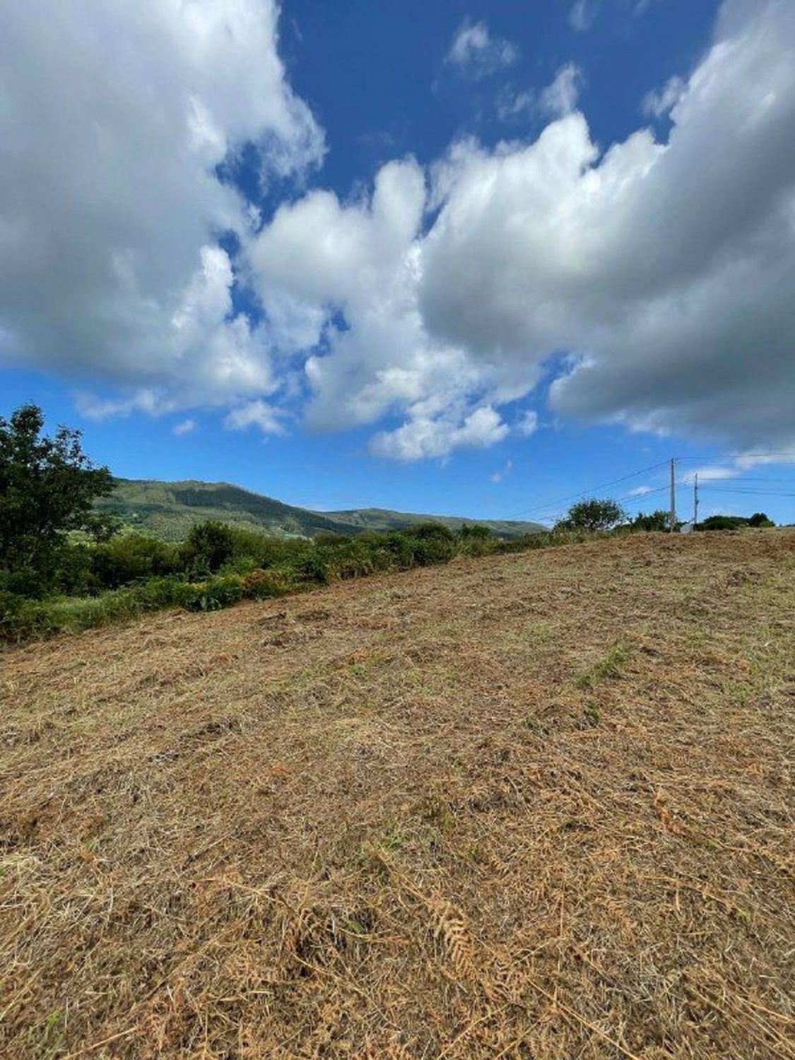 Fincas y solares-Venta-Cedeira-2419322-Foto-6