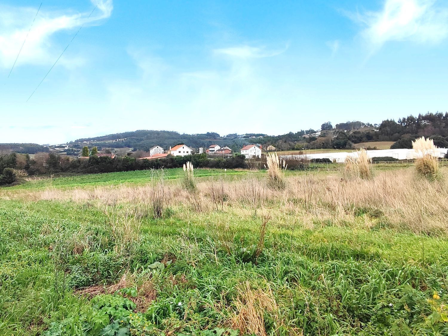 Fincas y solares-Venta-Arteixo-2419328-Foto-4