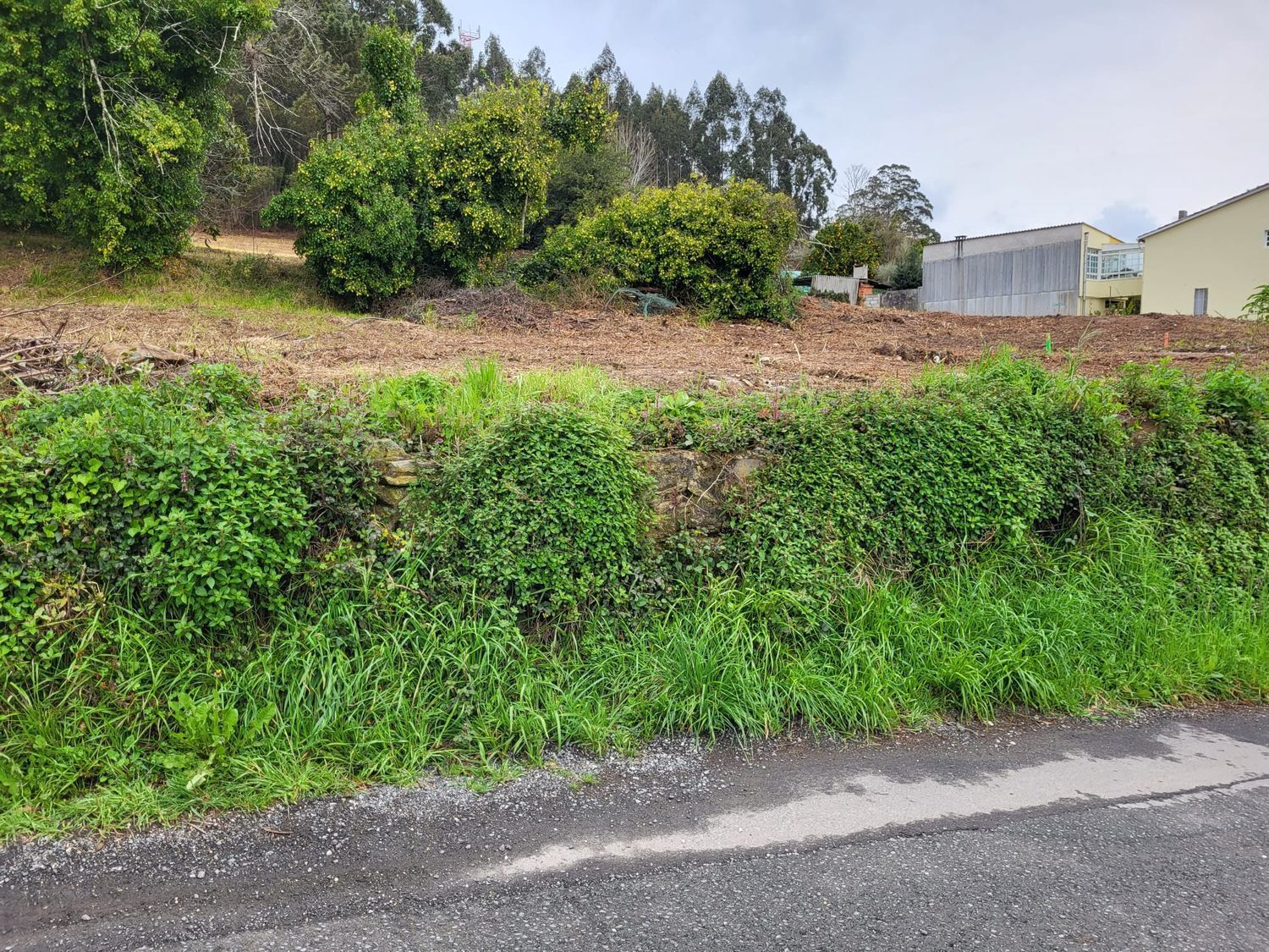 Fincas y solares-Venta-Oleiros-2419337-Foto-5