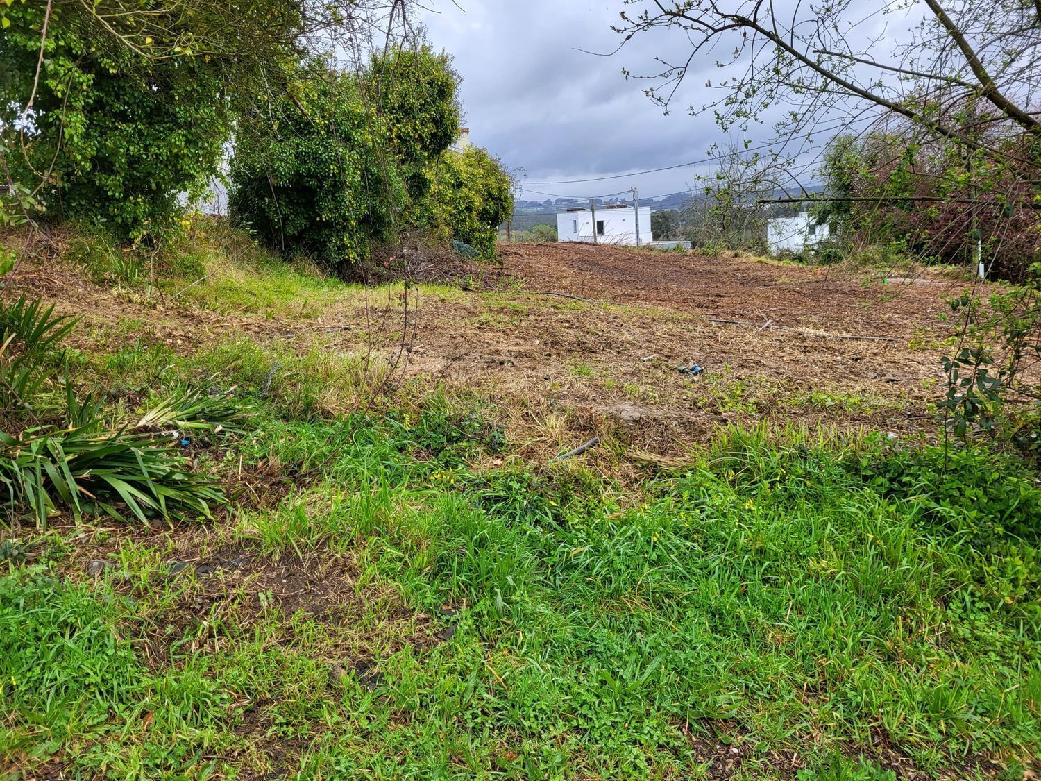 Fincas y solares-Venta-Oleiros-2419337-Foto-6