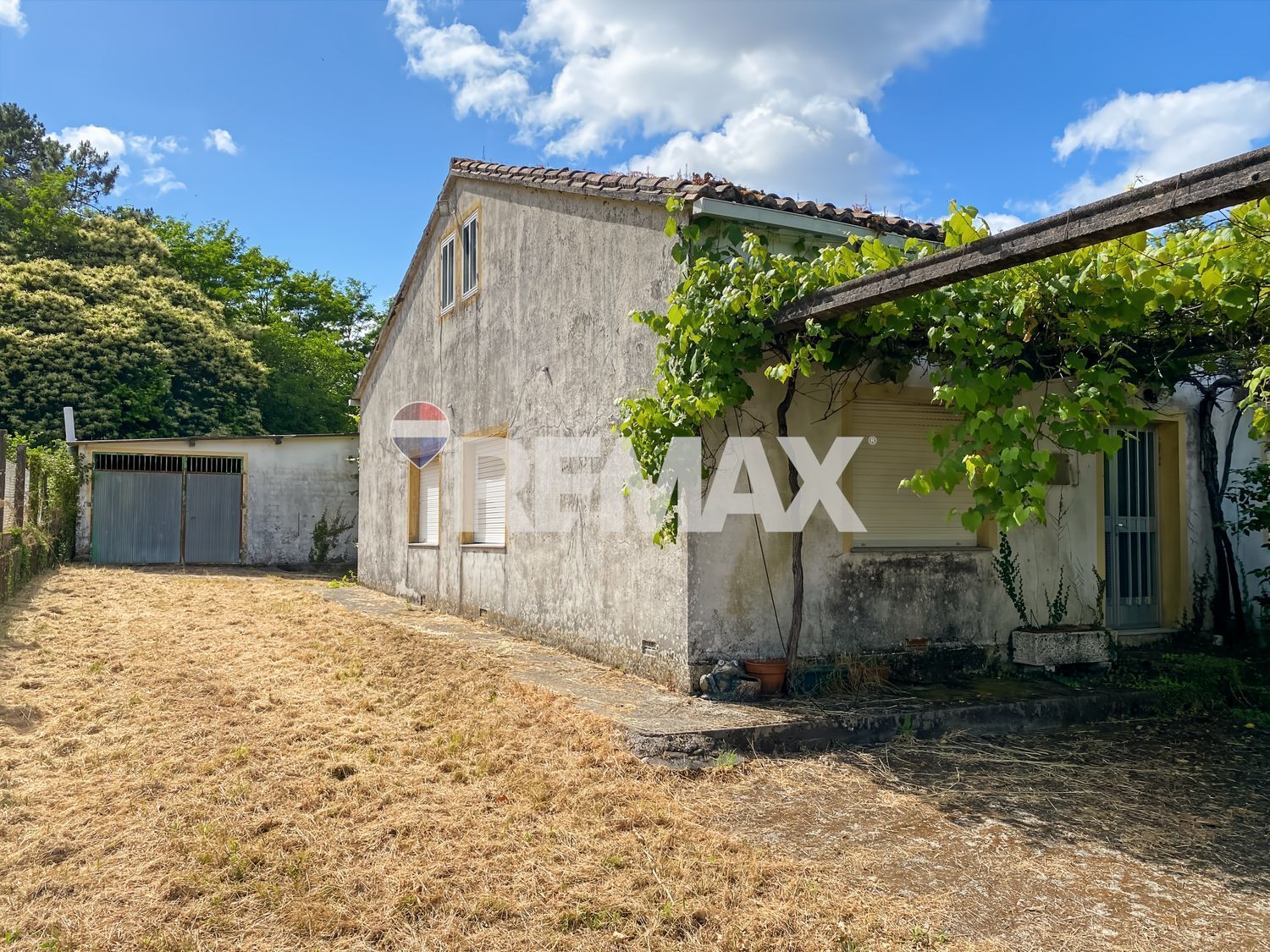 Casas o chalets-Venta-BriÃ³n-2419358-Foto-36