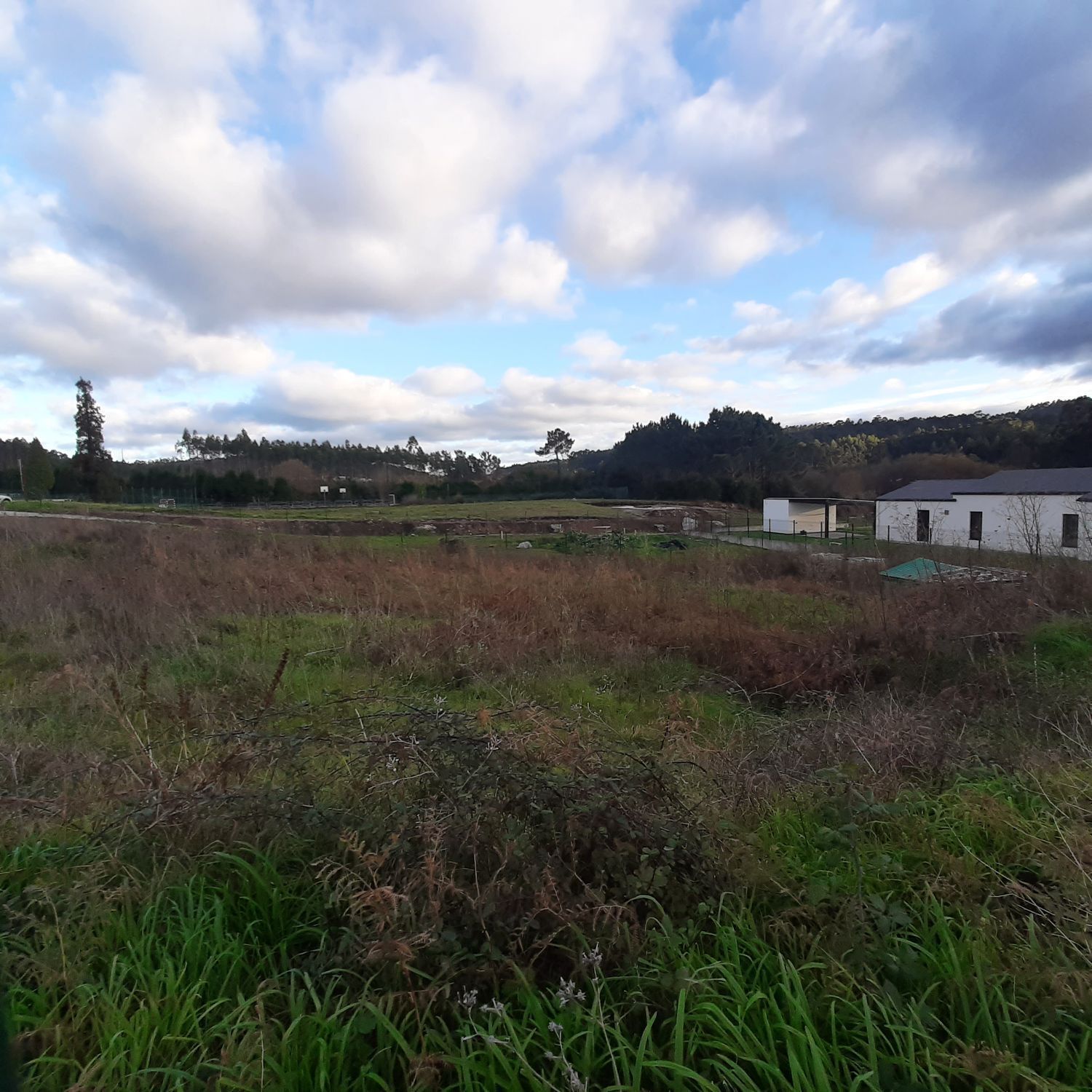 Fincas y solares-Venta-La Pobla de CÃ©rvoles-2419367-Foto-4
