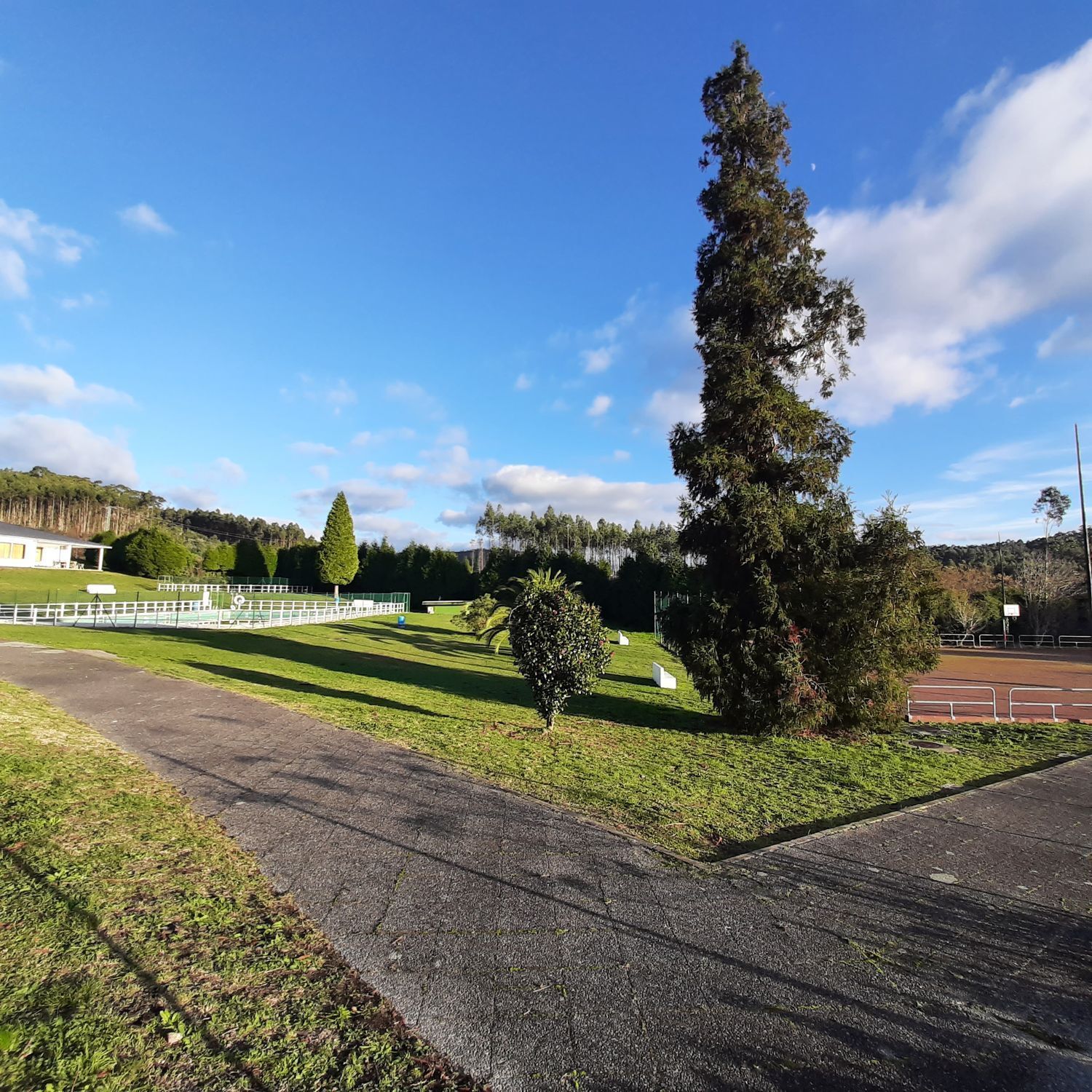 Fincas y solares-Venta-La Pobla de CÃ©rvoles-2419367-Foto-8