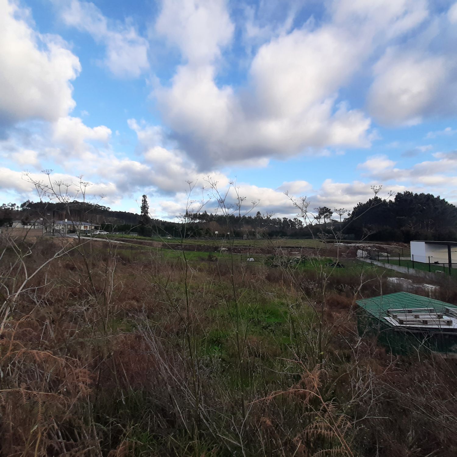 Fincas y solares-Venta-La Pobla de CÃ©rvoles-2419367-Foto-6