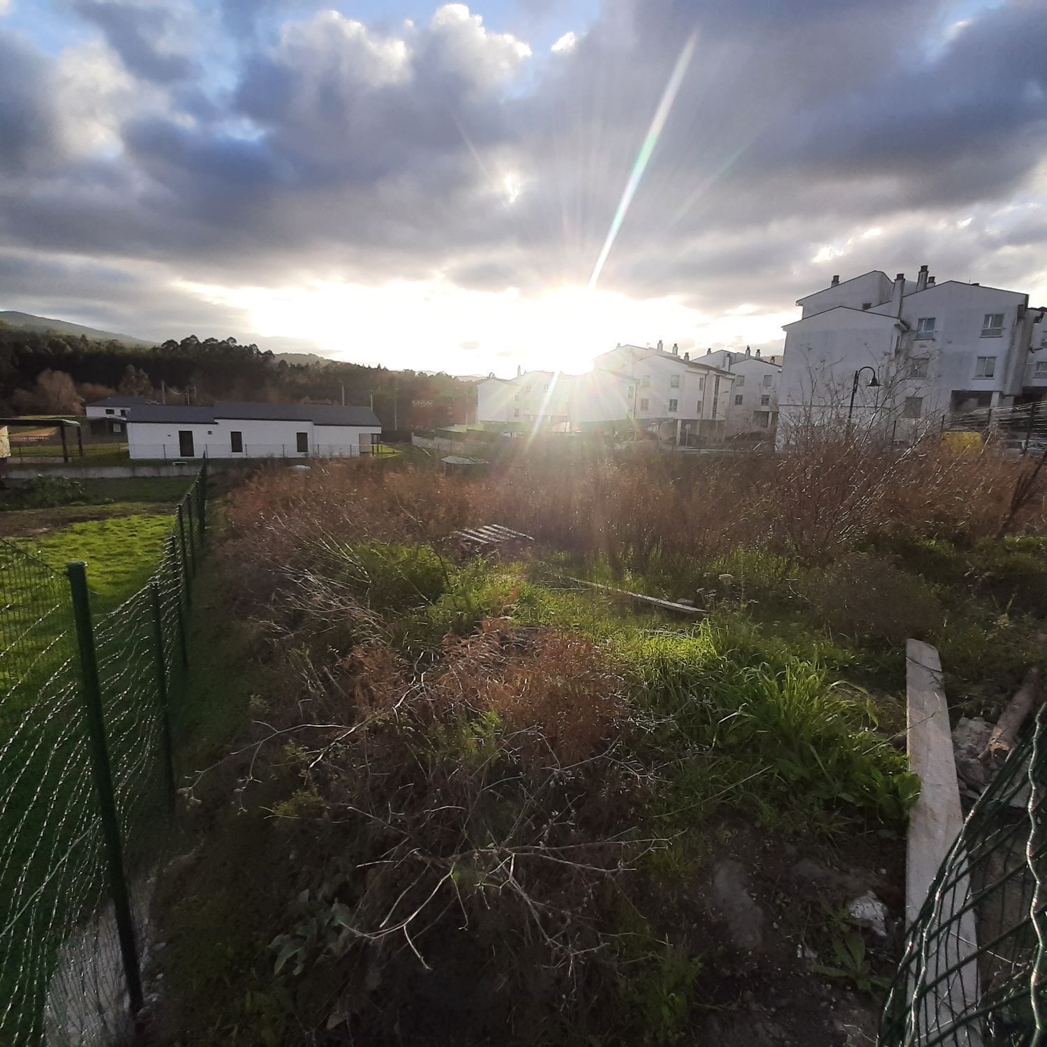 Fincas y solares-Venta-La Pobla de CÃ©rvoles-2419367-Foto-7