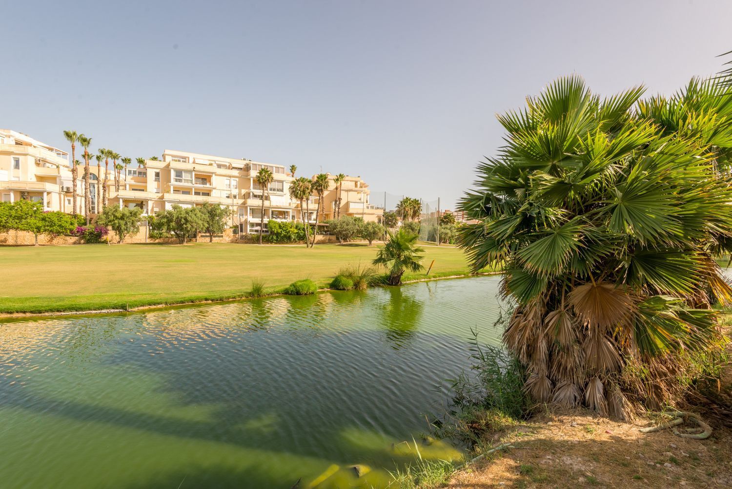 Casas o chalets-Venta-Alicante-2411460-Foto-2